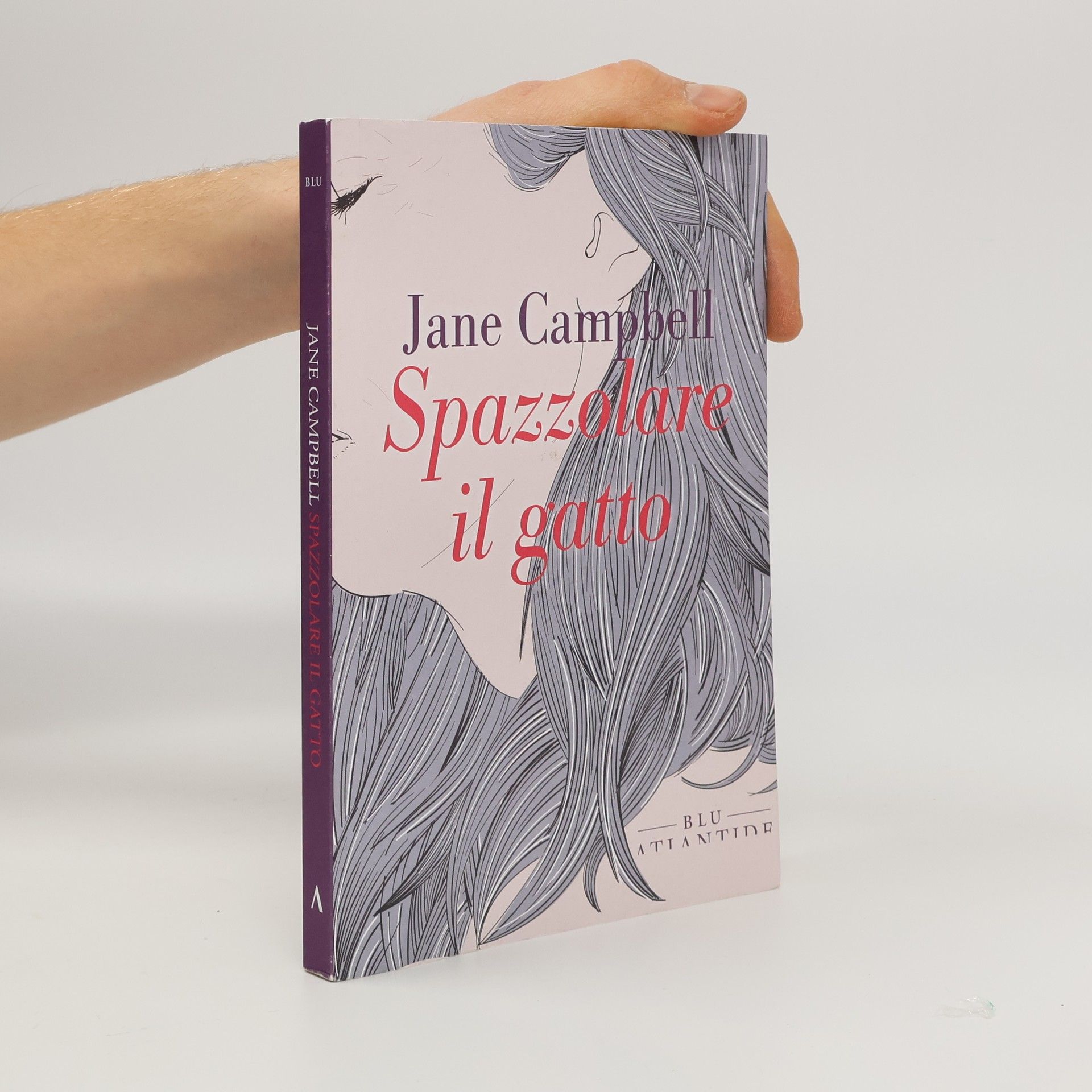 Federica Bigotti Spazzolare il gatto