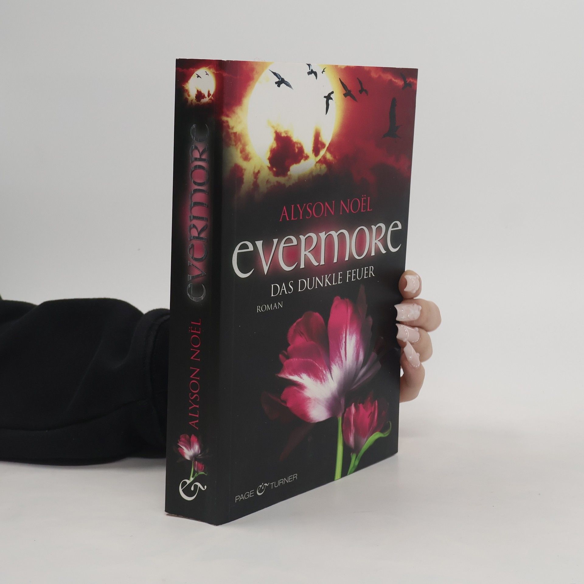 Alyson Noël Evermore: Das dunkle Feuer