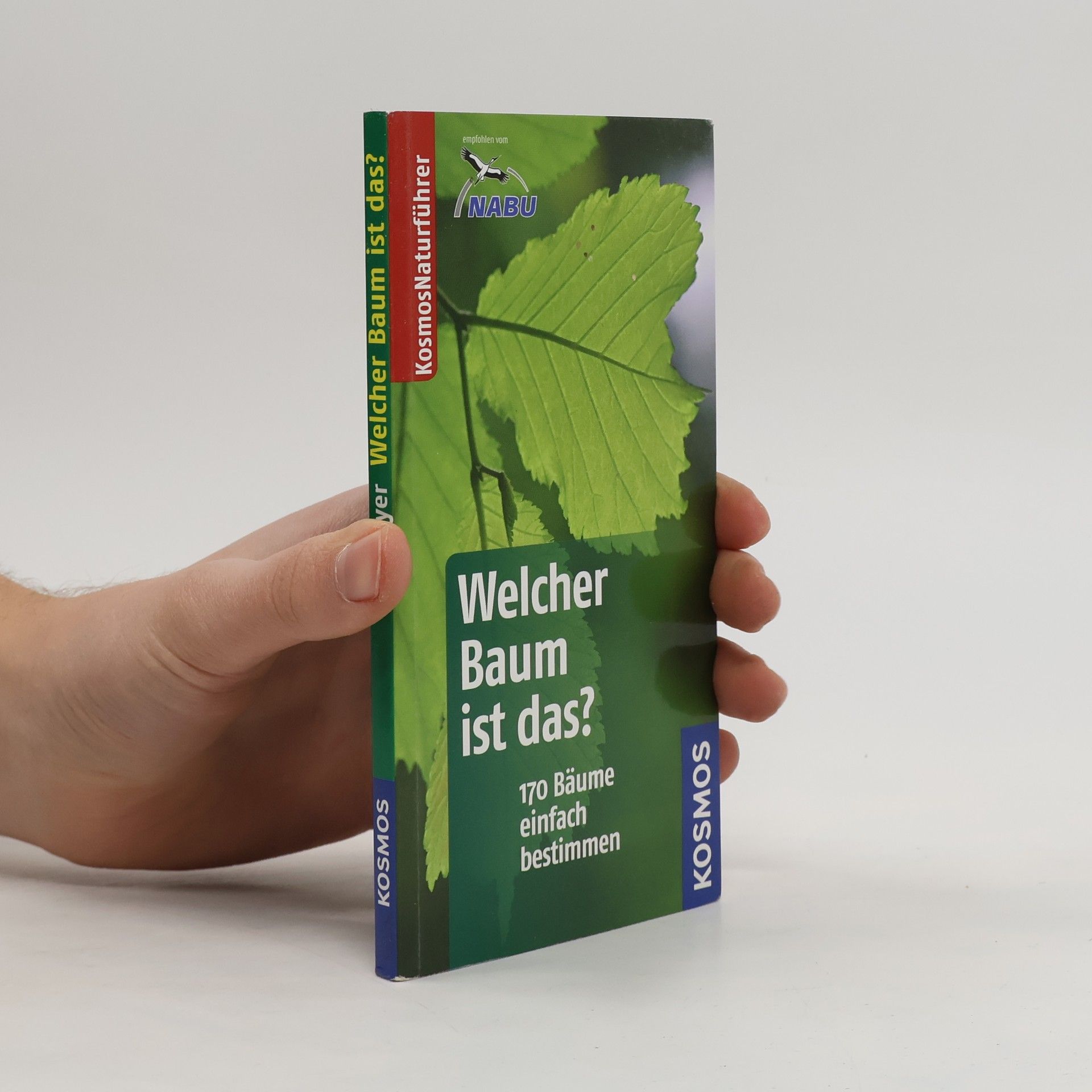 Joachim Mayer Welcher Baum ist das?
