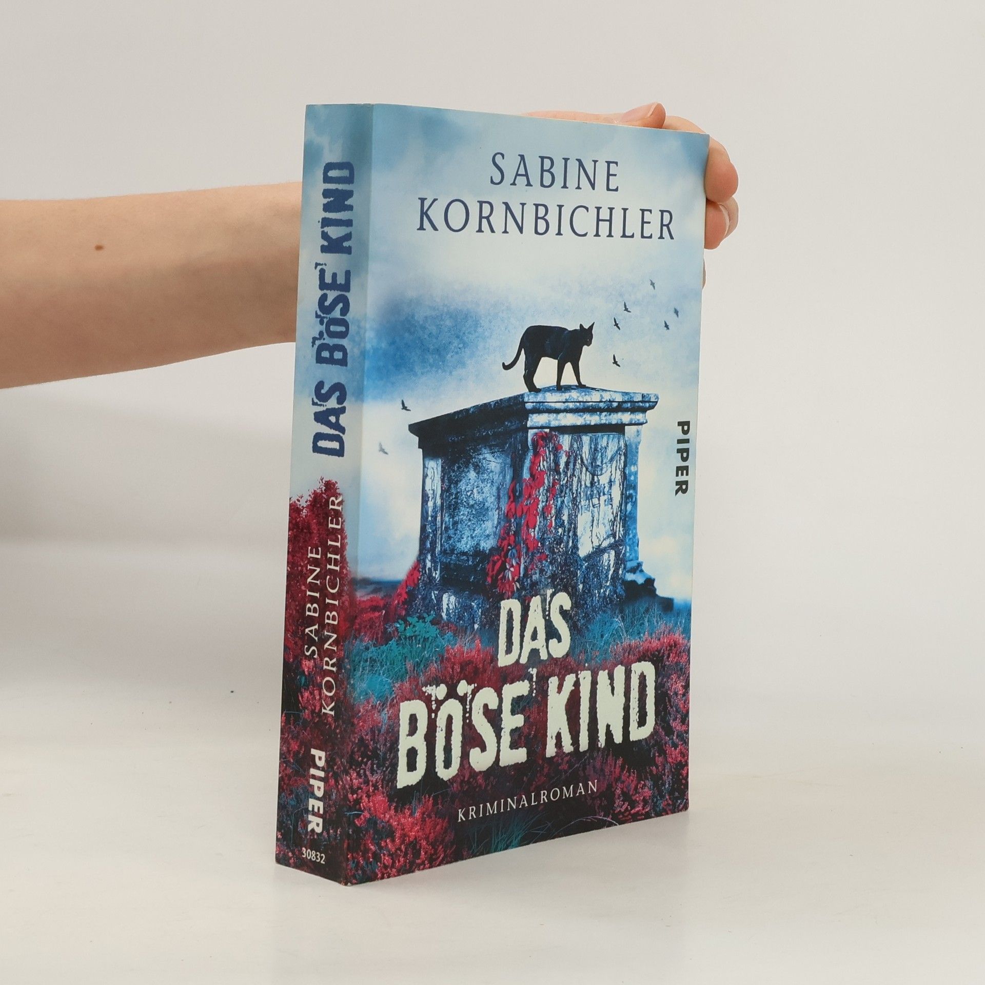 Sabine Kornbichler Das Böse Kind
