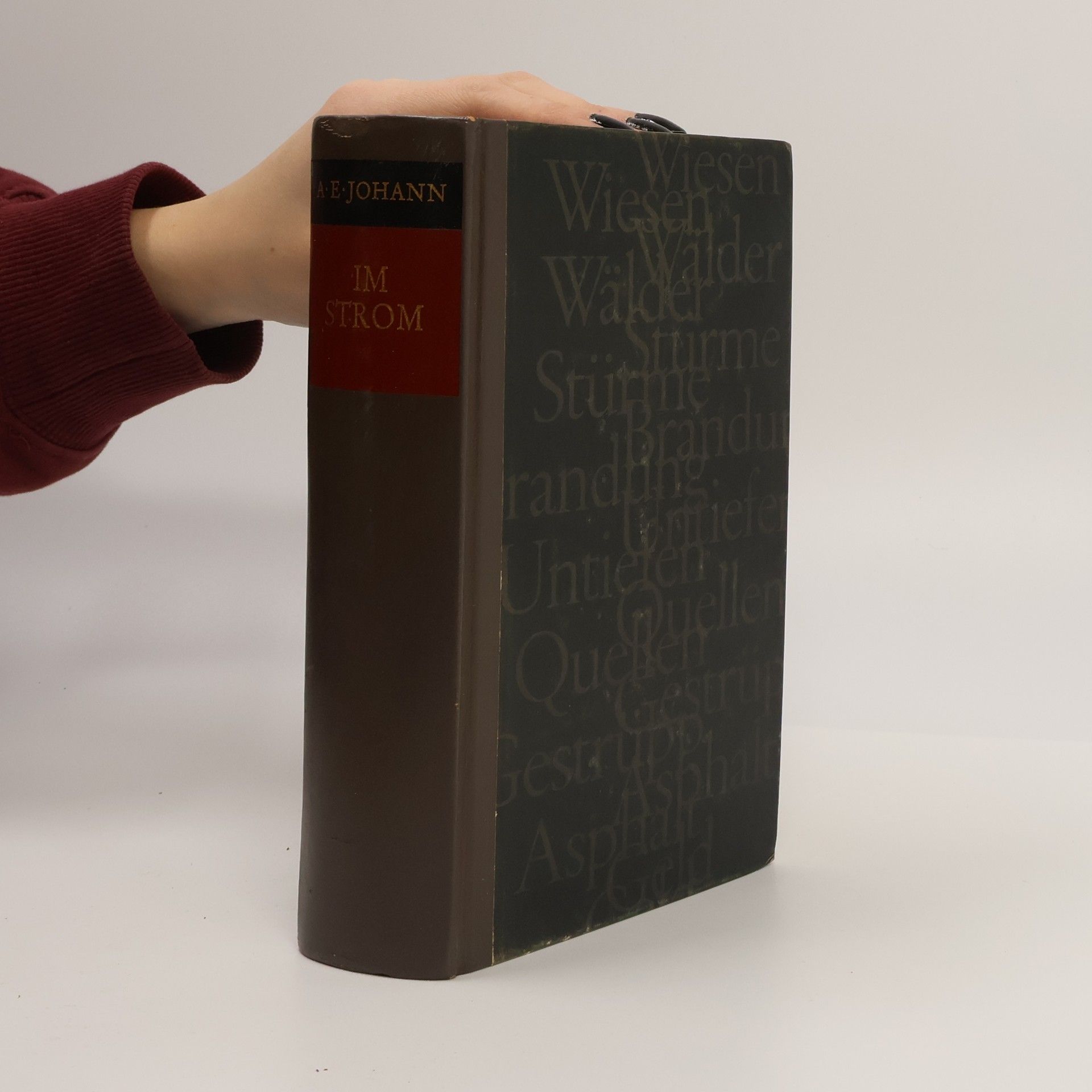 Alfred E. Johann Im Strom