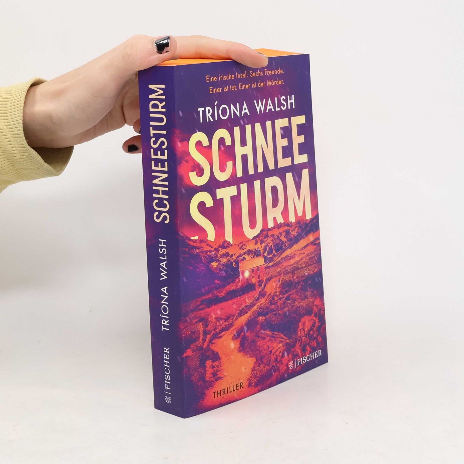 Tríona Walsh Schneesturm