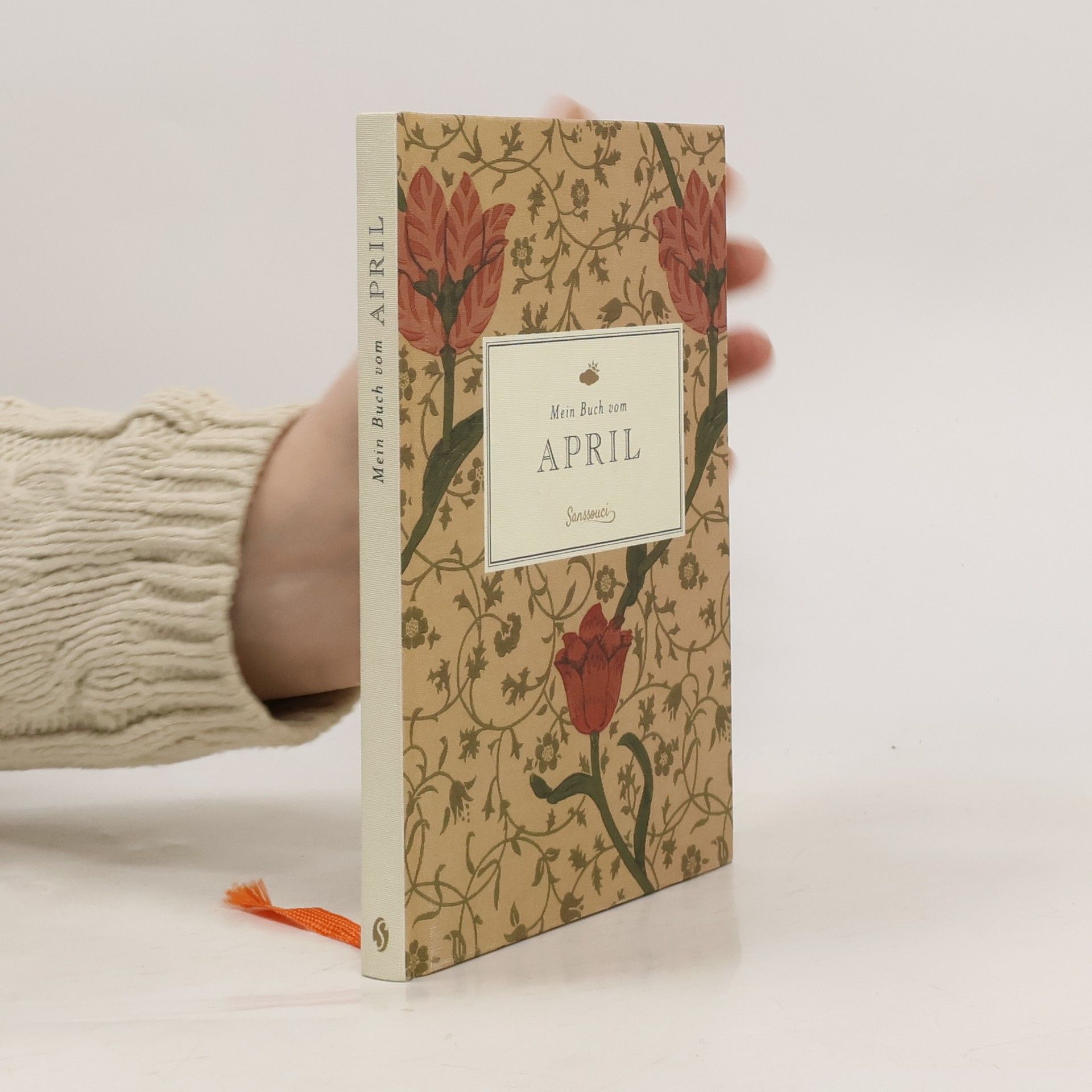 Liane Dirks Mein Buch vom April