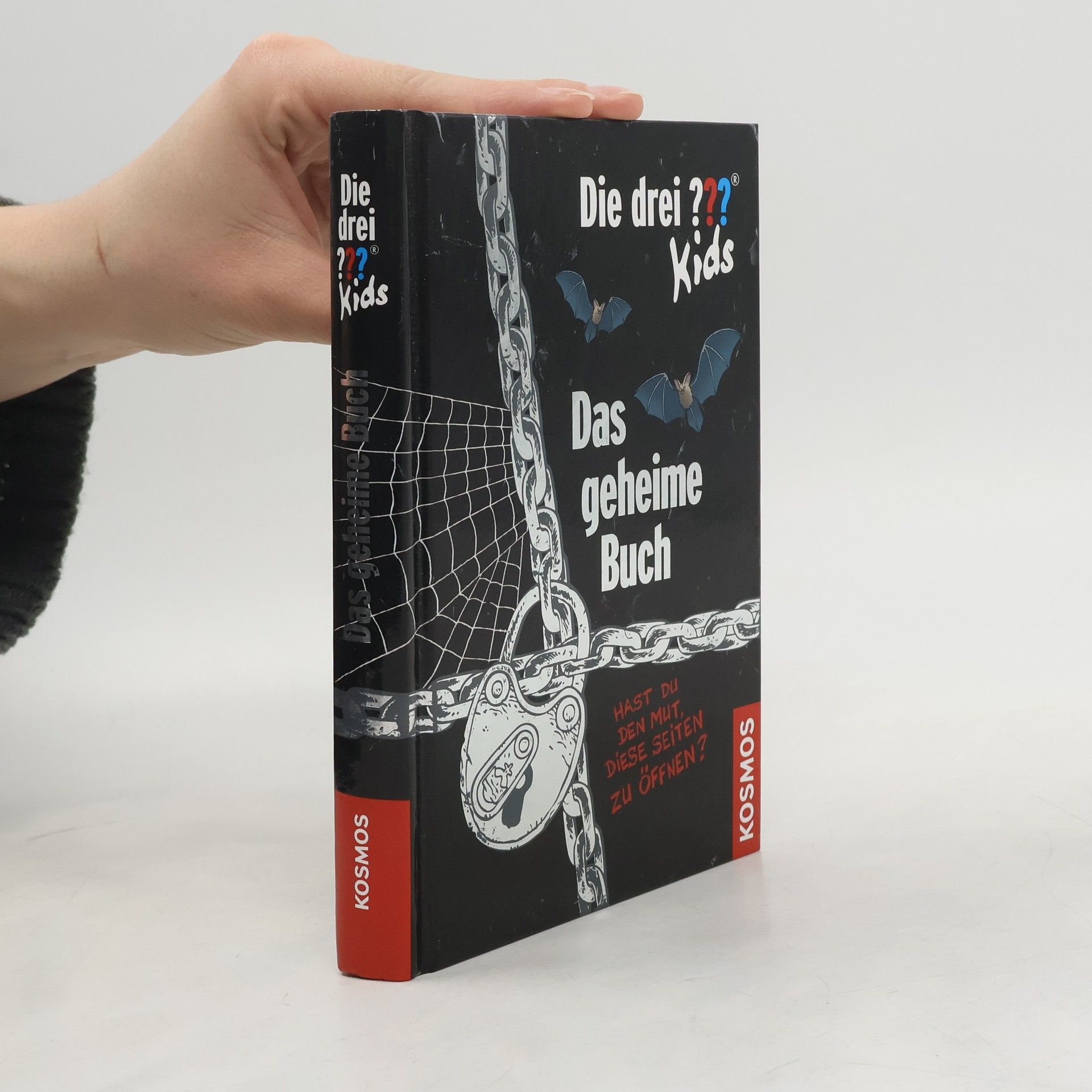 Ulf Blanck Das Geheime Buch