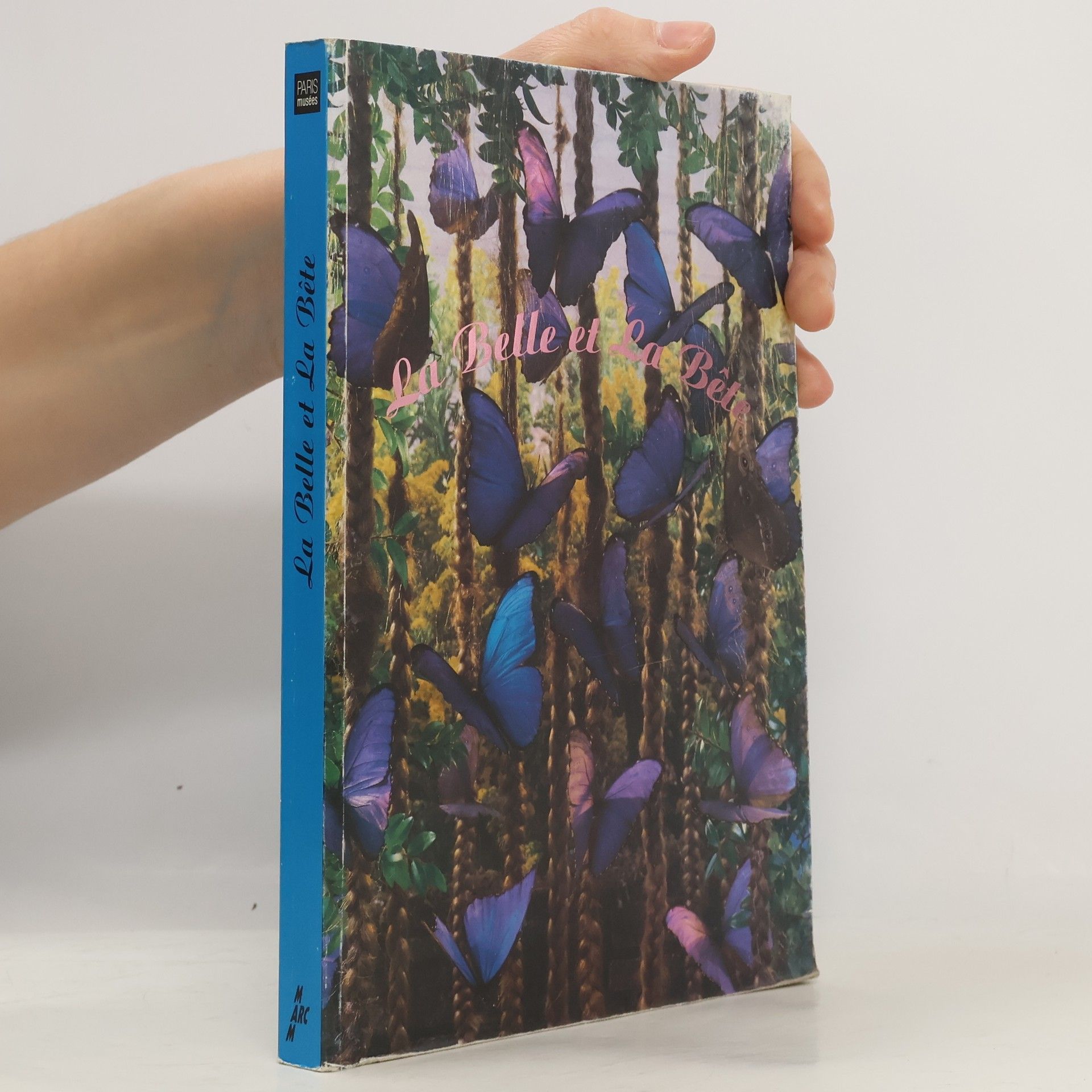 Musée d'art moderne de la ville de Paris La Belle et la Bête