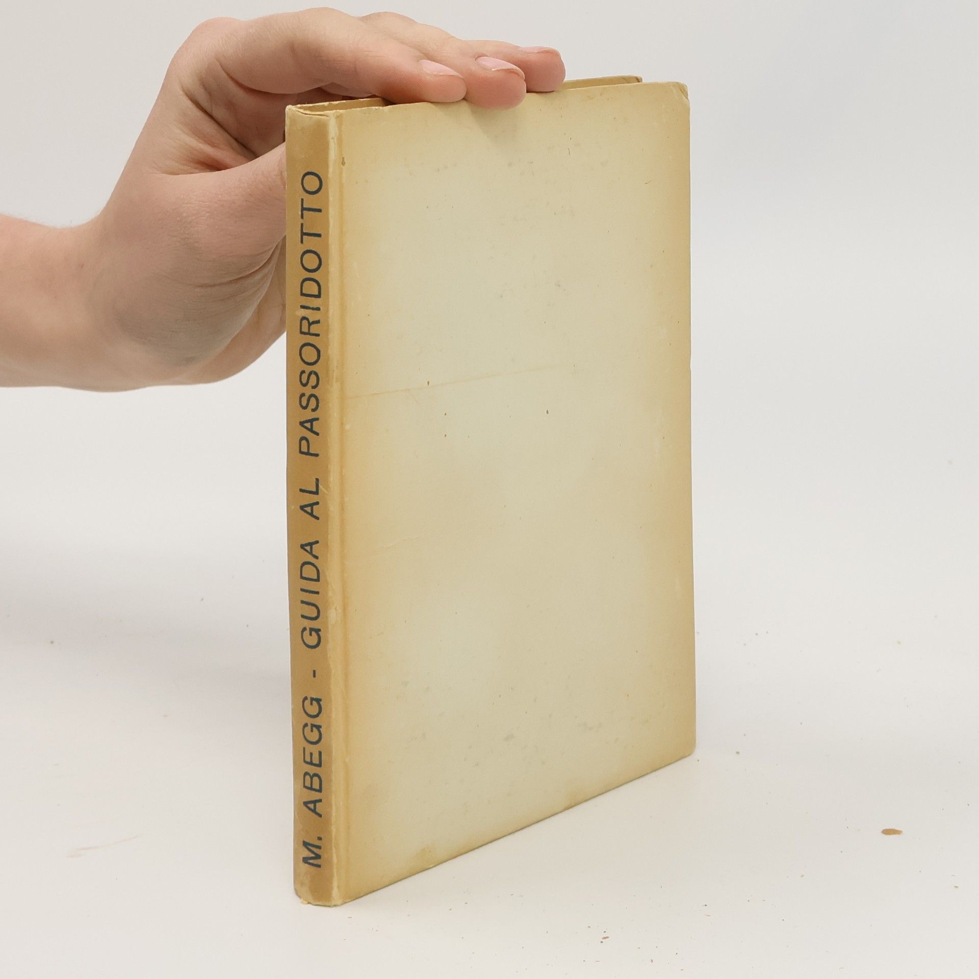 Max Abegg Guida pratica al passoridotto
