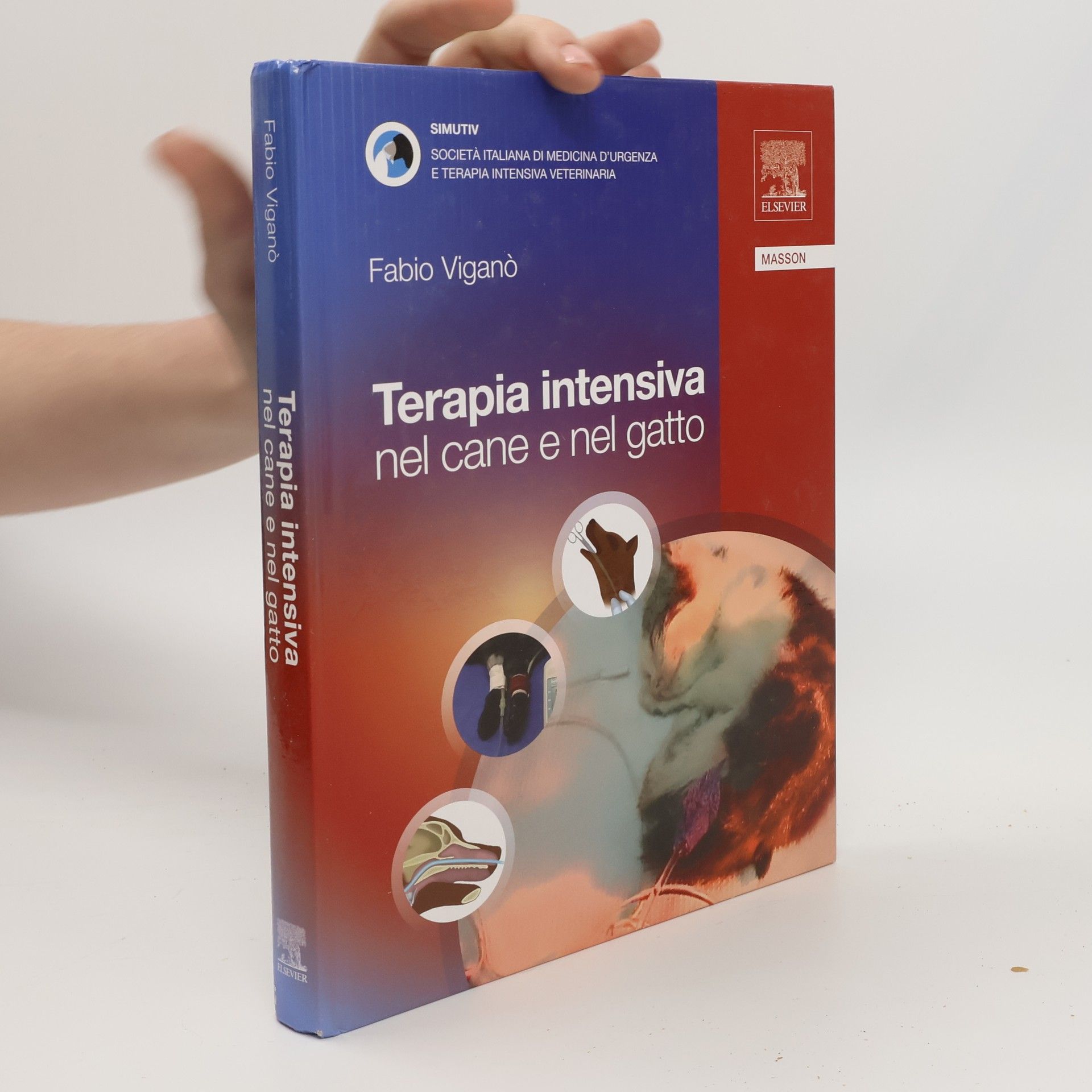 Terapia intensiva nel cane e nel gatto