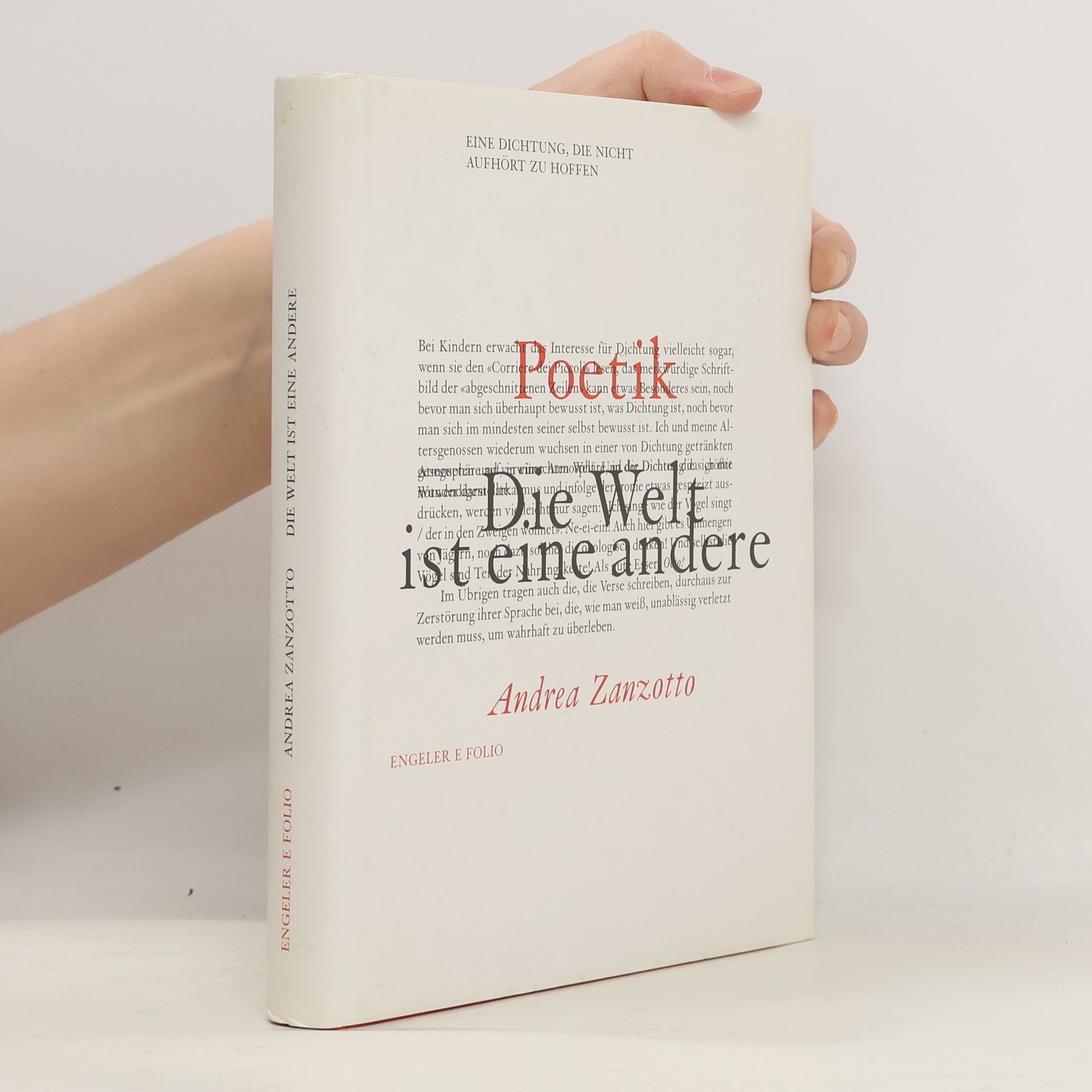 Andrea Zanzotto Die Welt ist eine andere. Planet Beltà. Band IV. Essays