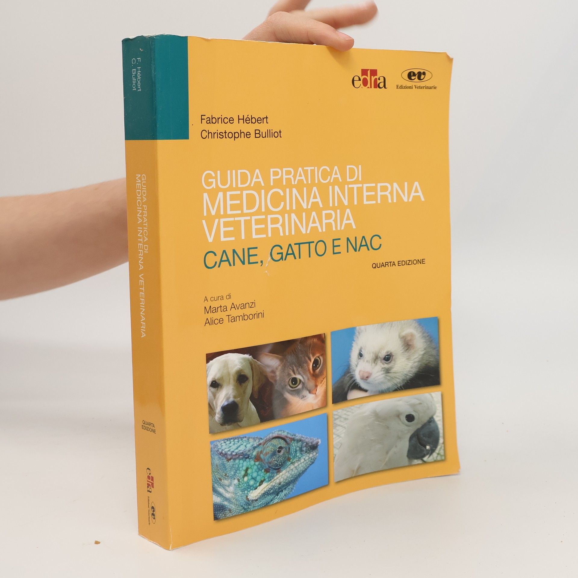 Guida pratica di medicina interna veterinaria. Cane, Gatto e NAC - quarta edizione