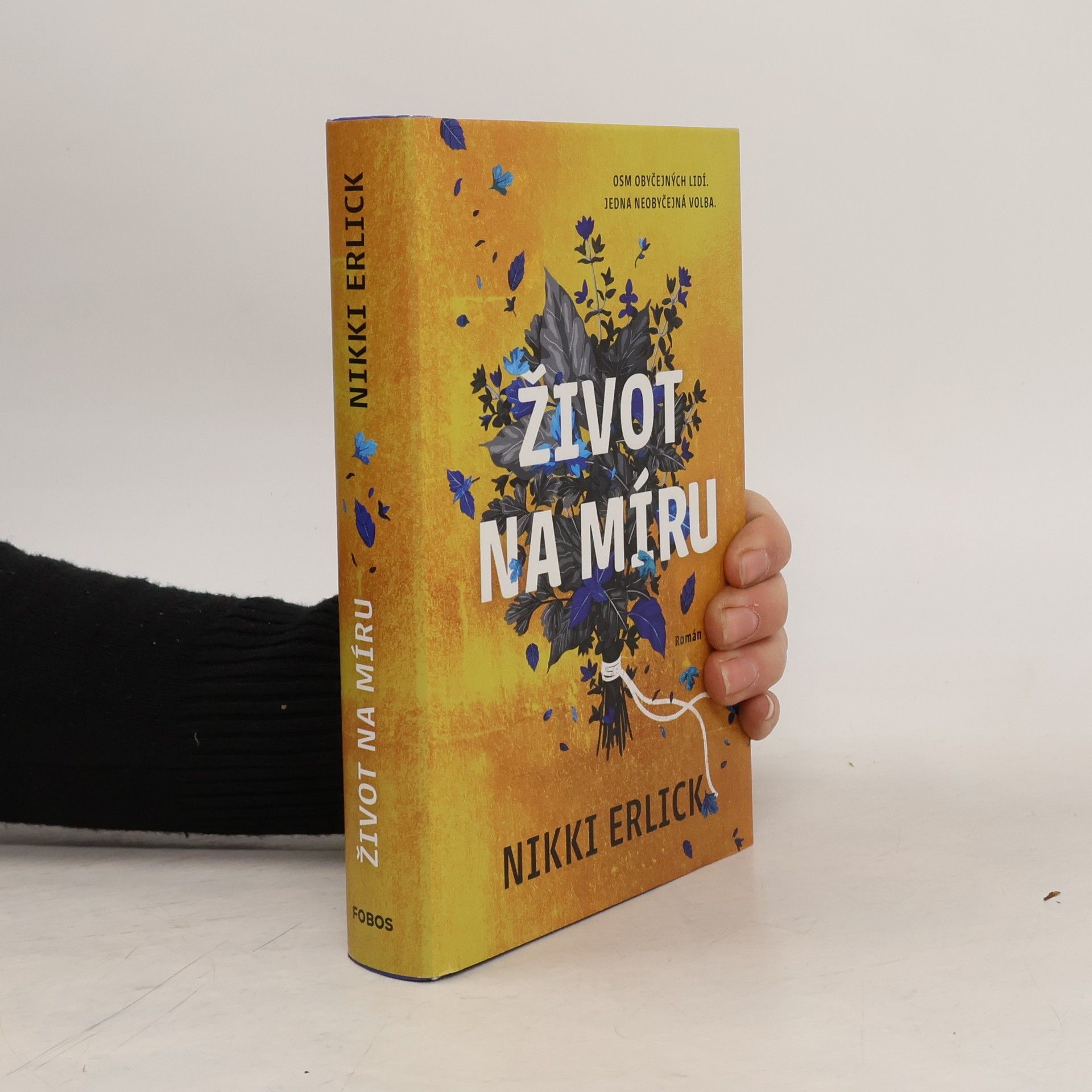Nikki Erlick Život na míru
