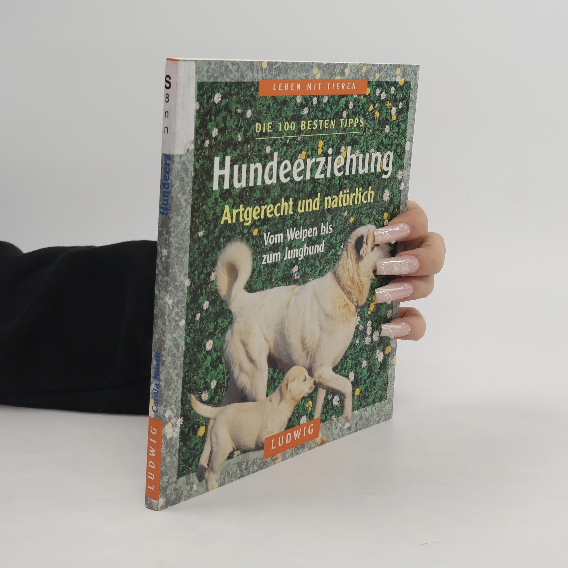 Hundeerziehung