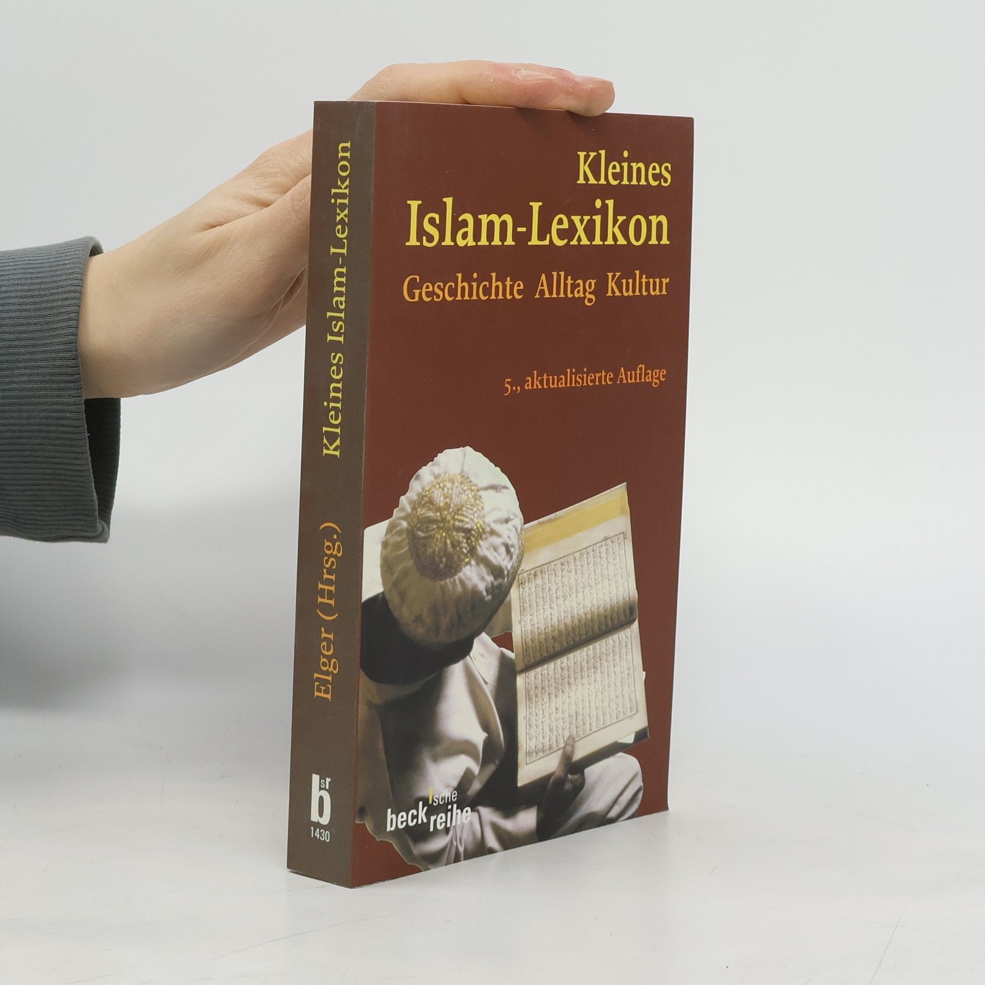 Ralf Elger Kleines Islam-Lexikon