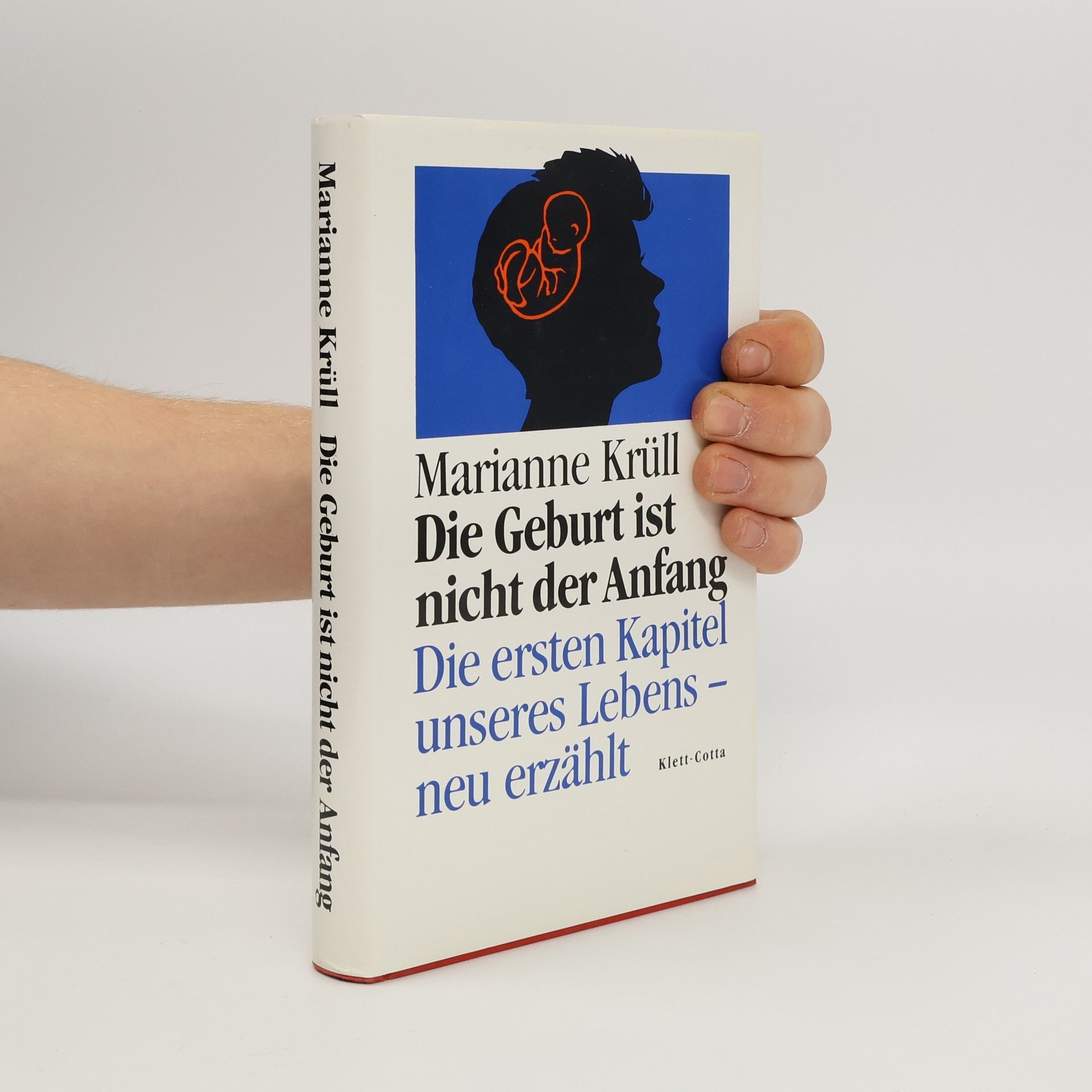 Marianne Krüll Die Geburt ist nicht der Anfang