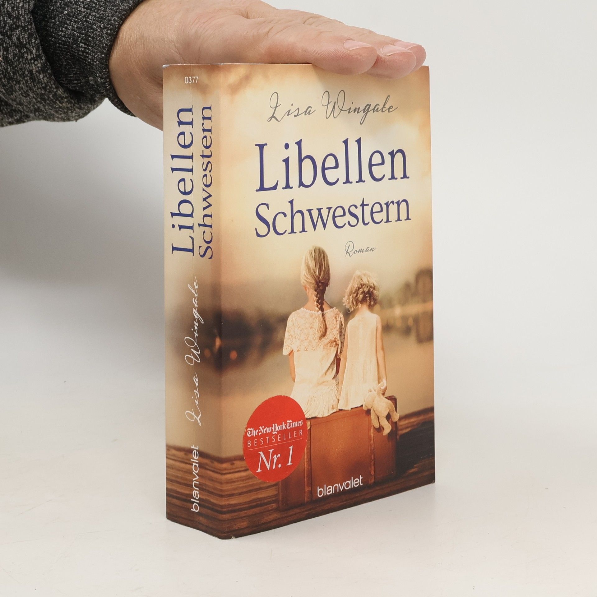 Lisa Wingate Libellenschwestern