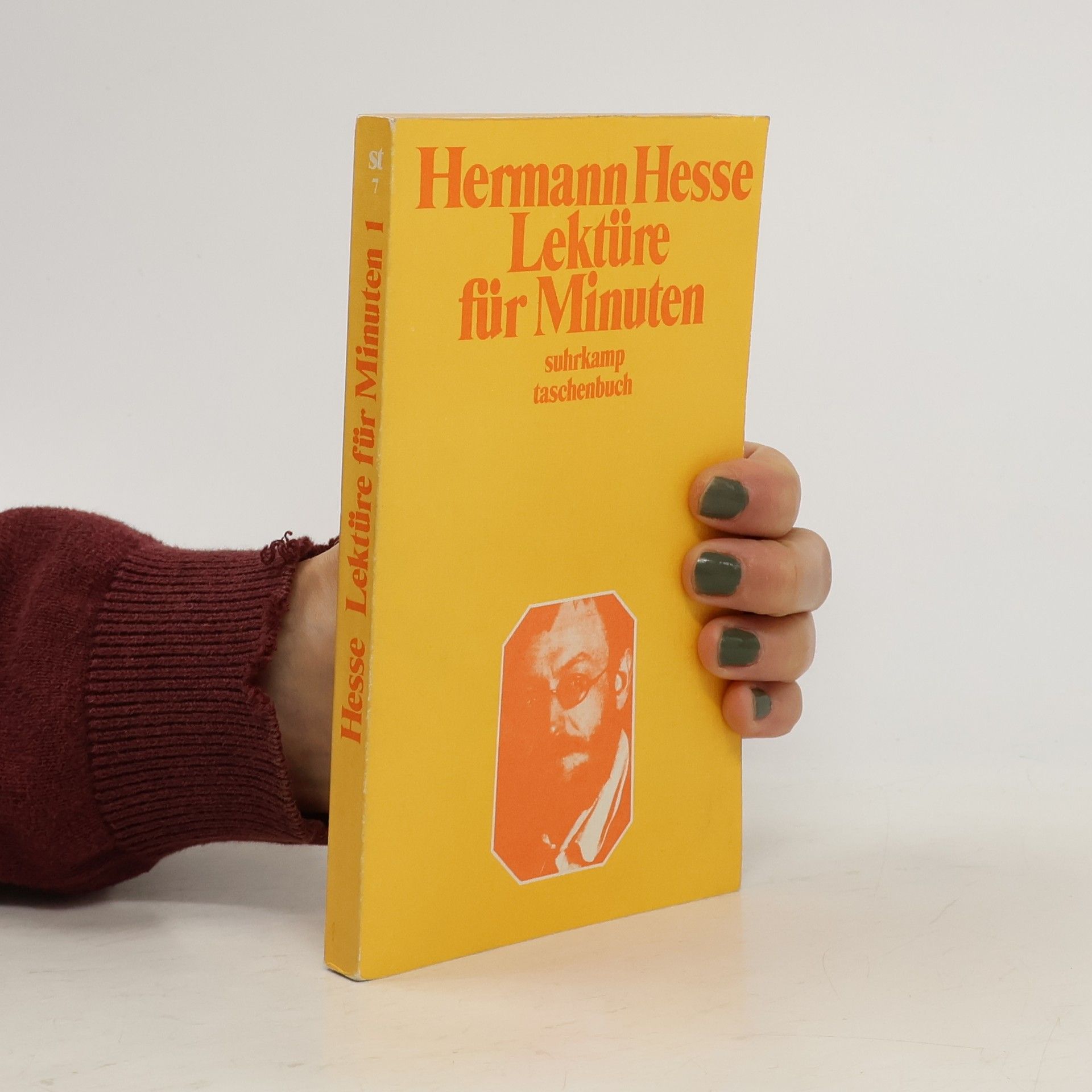 Hermann Hesse Lektüre für Minuten