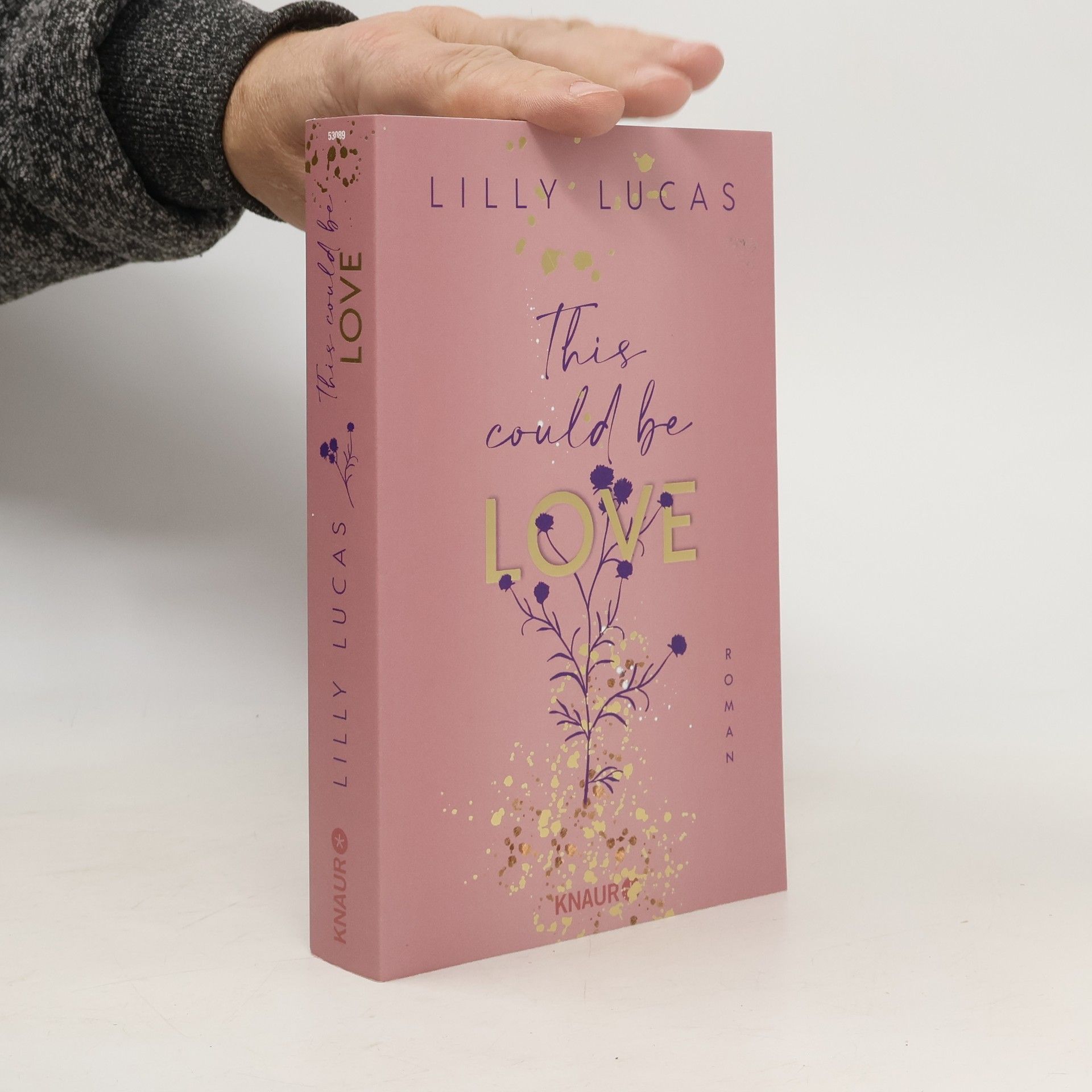 Lilly Lucas This could be love