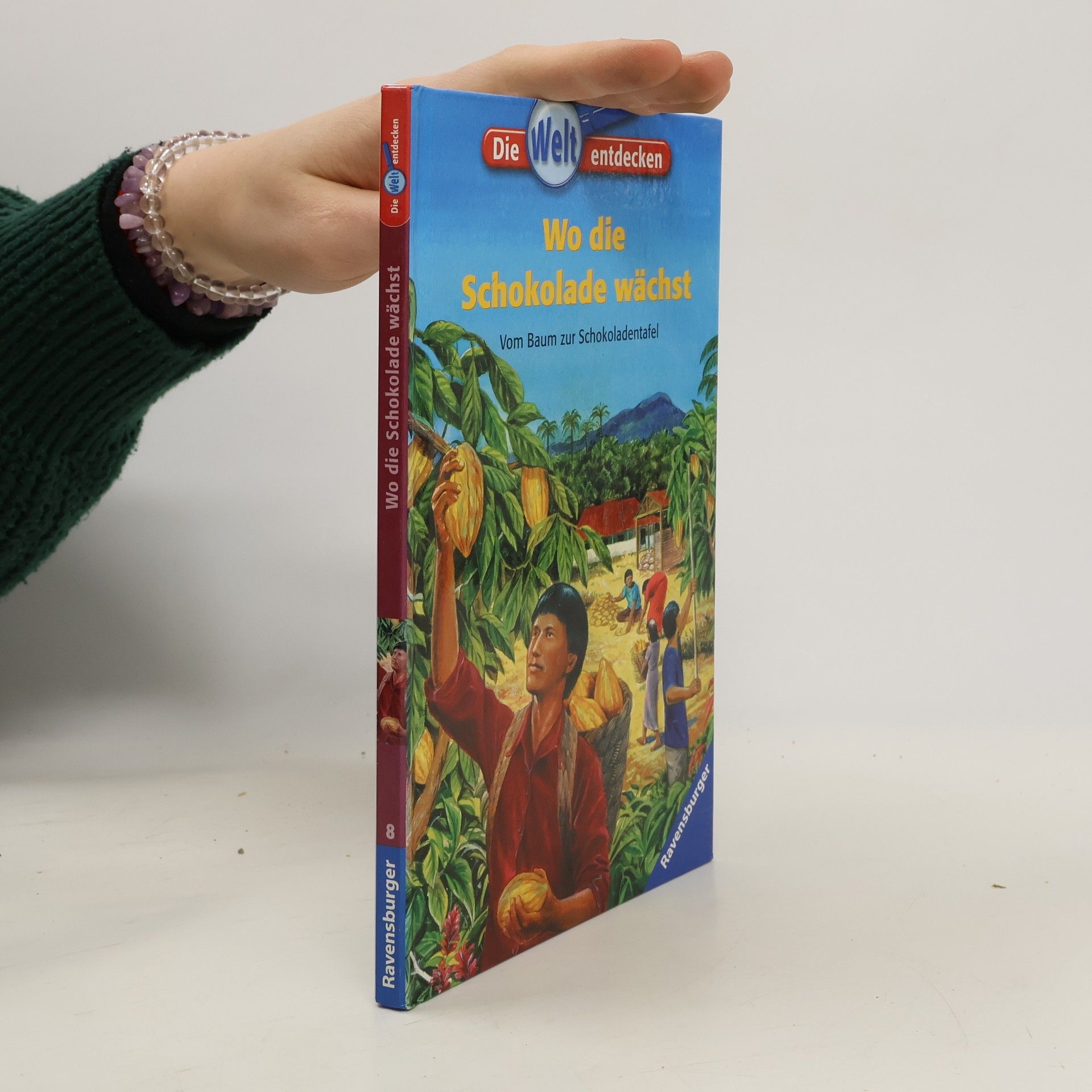 Wo die Schokolade wächst