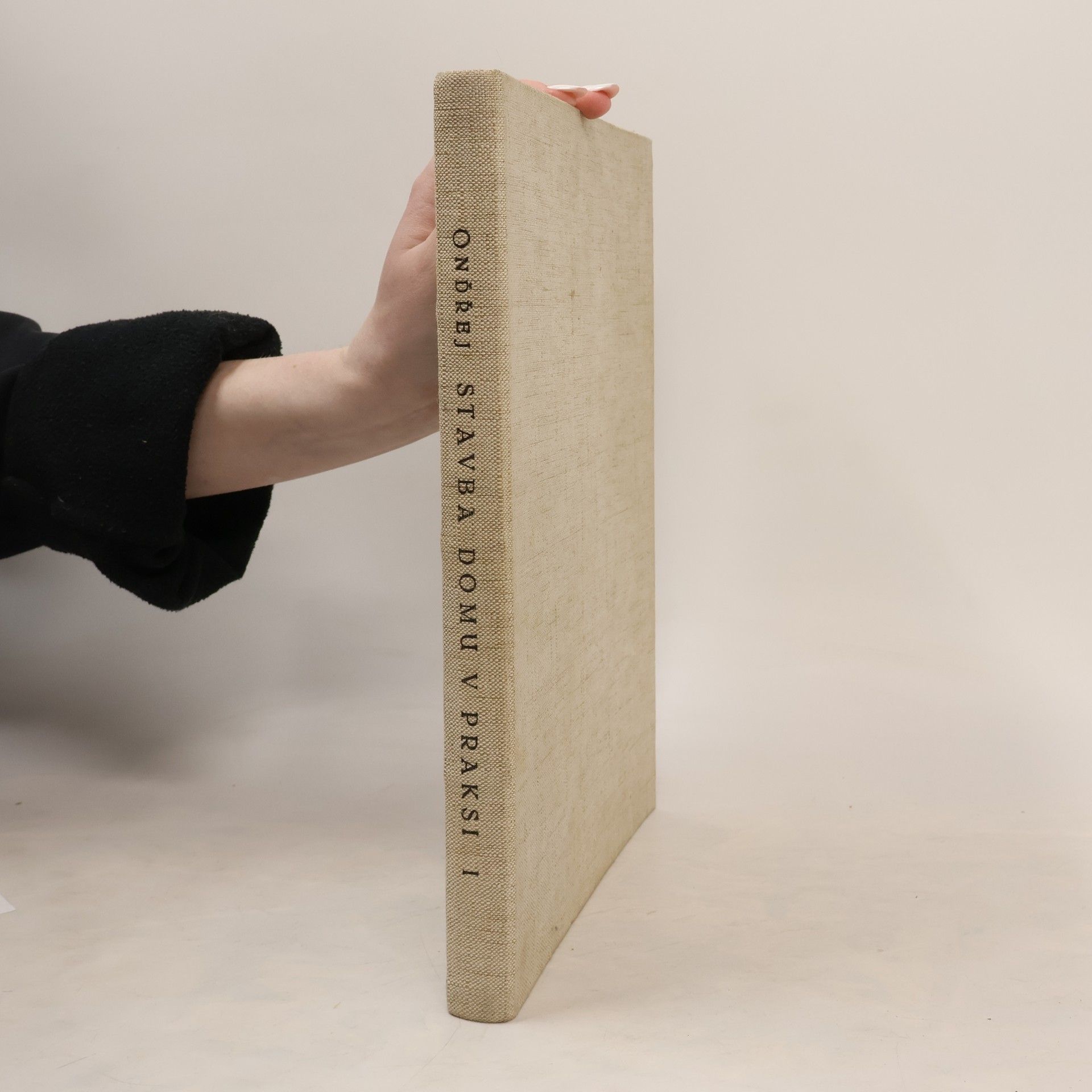 Ondrej Sova Stavba domu v praksi. Díl I.