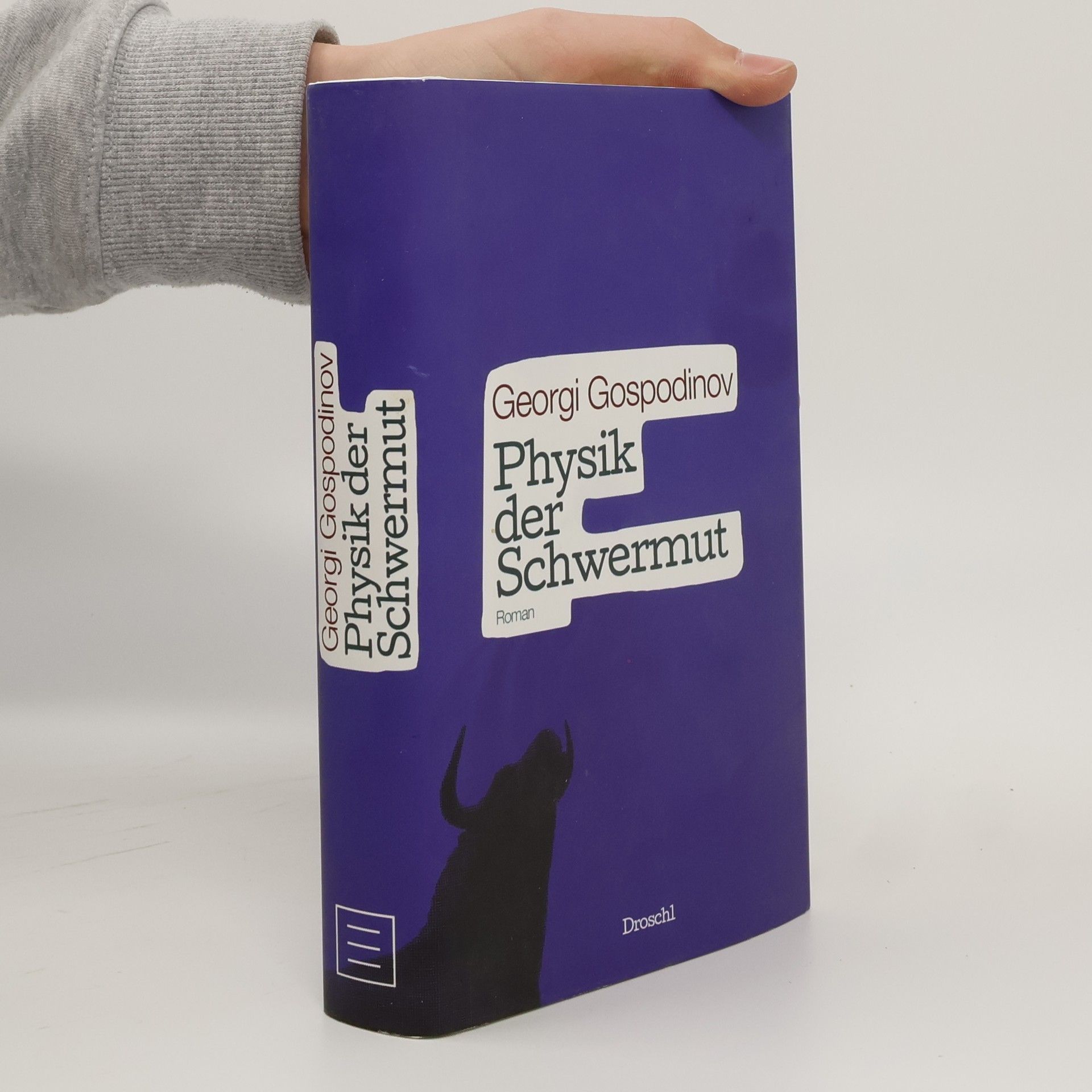 Georgi Gospodinov Physik der Schwermut