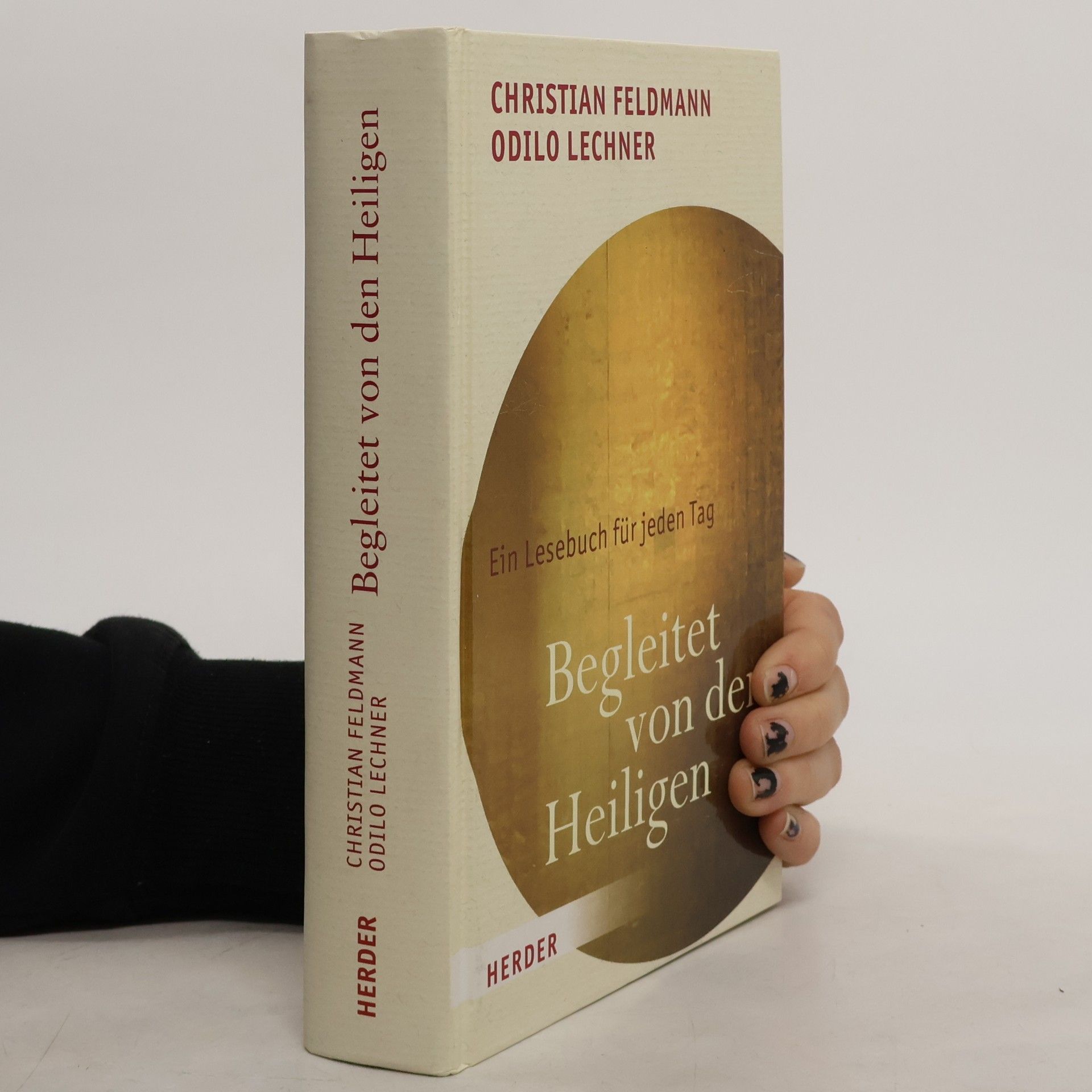 Christian Feldmann Begleitet von den Heiligen. Das Lesebuch für jeden Tag