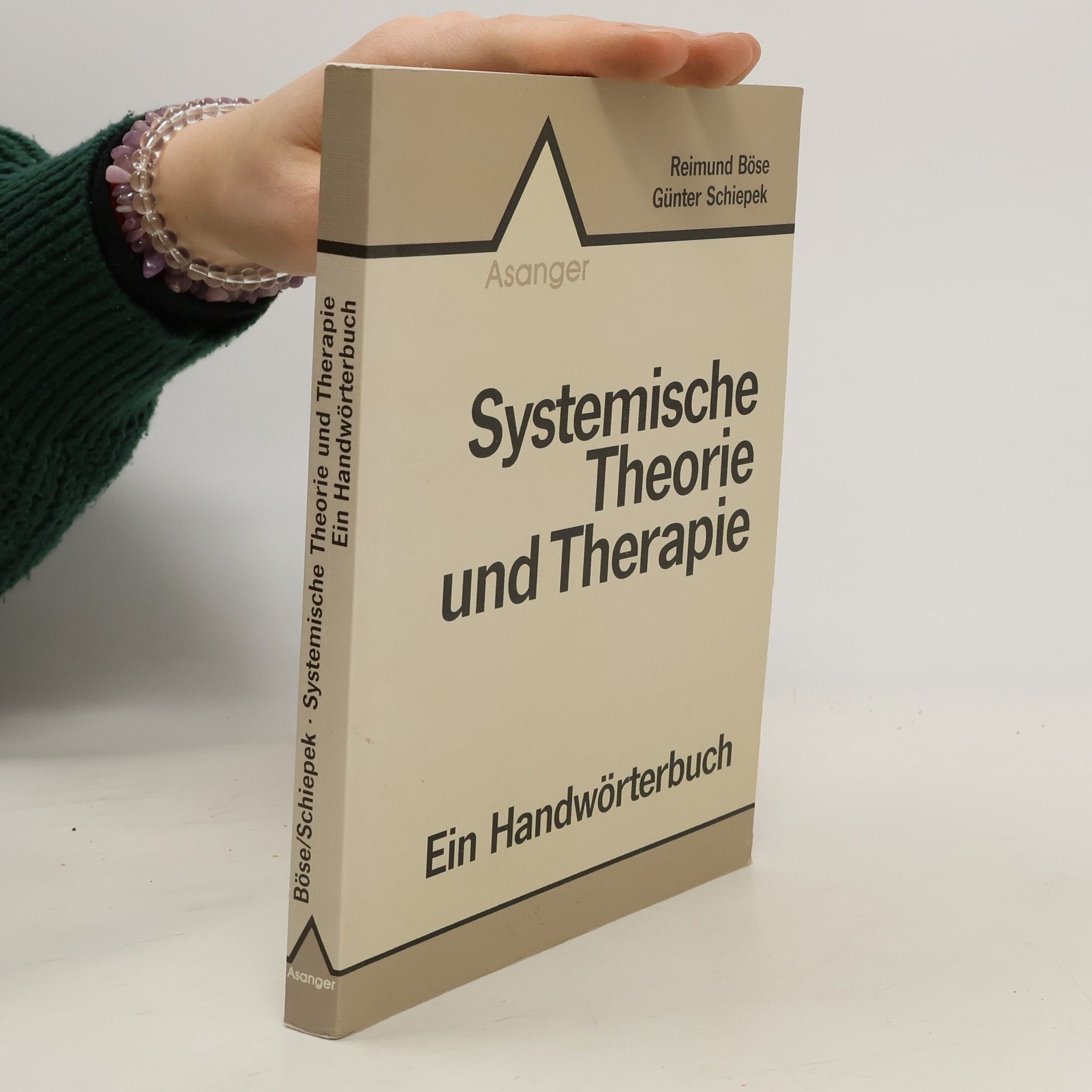 Reimund Böse Systemische Theorie und Therapie