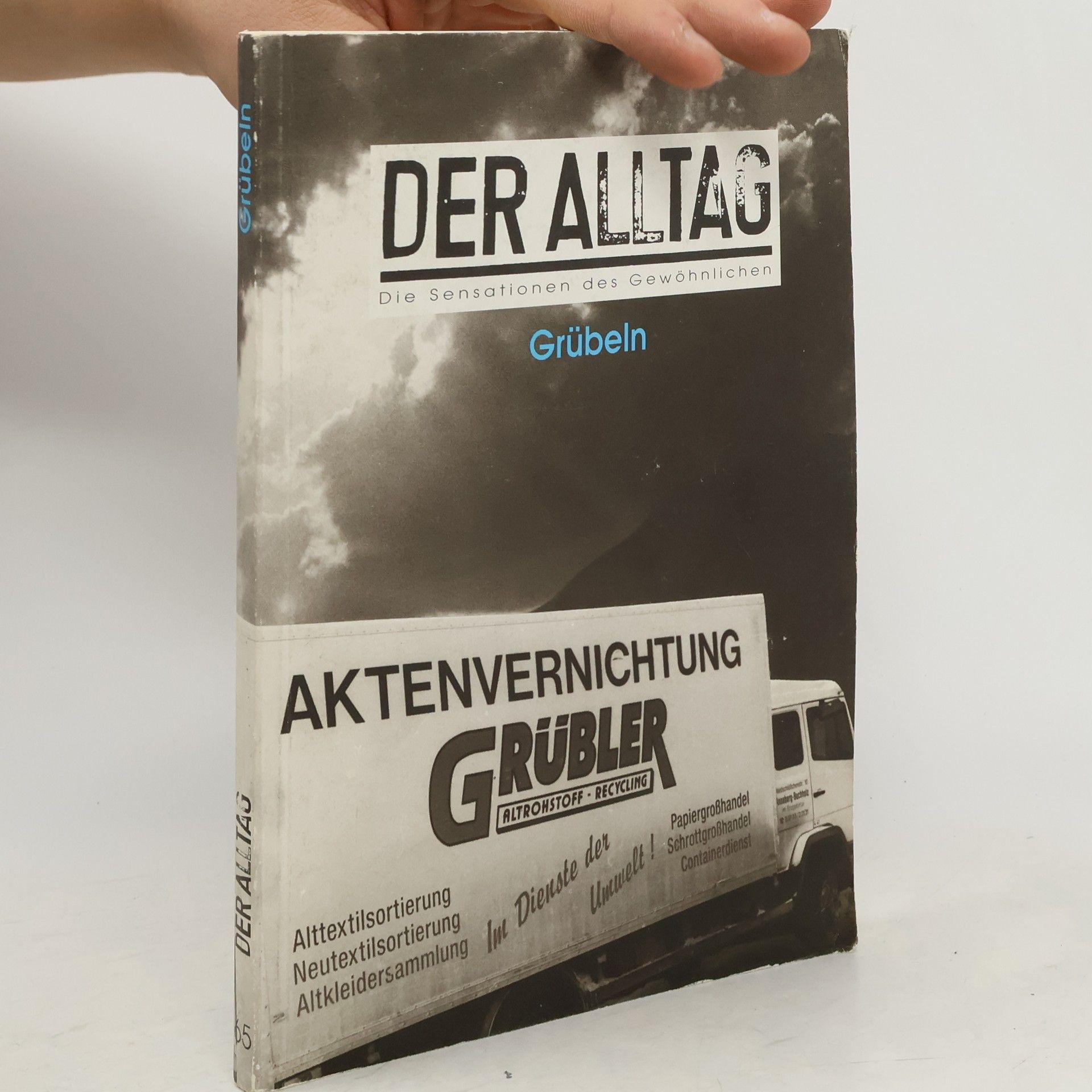 Der Alltag, Bd.65, Grübeln