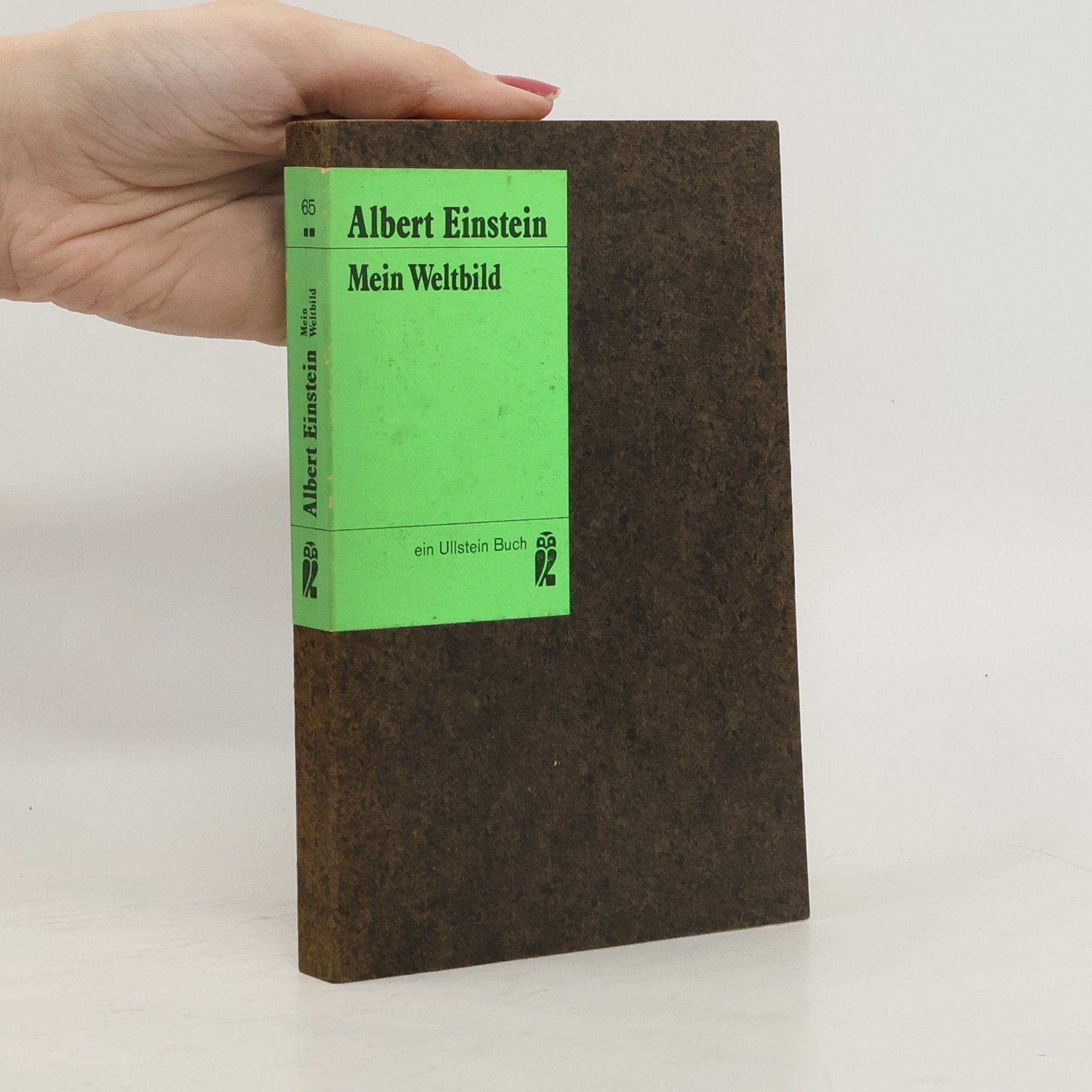 Albert Einstein Mein Weltbild