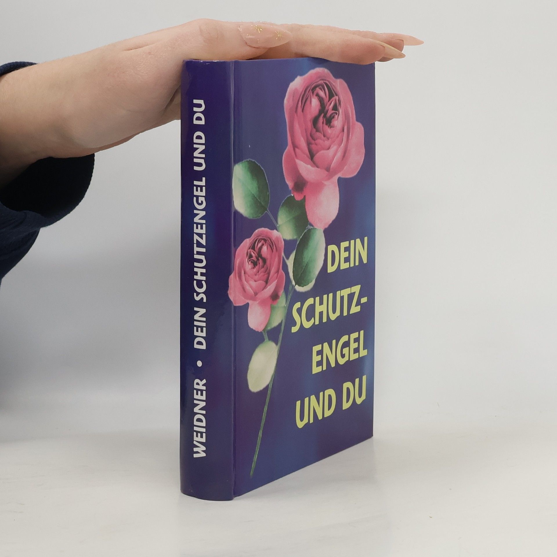 Gisela Weidner Dein Schutzengel und du