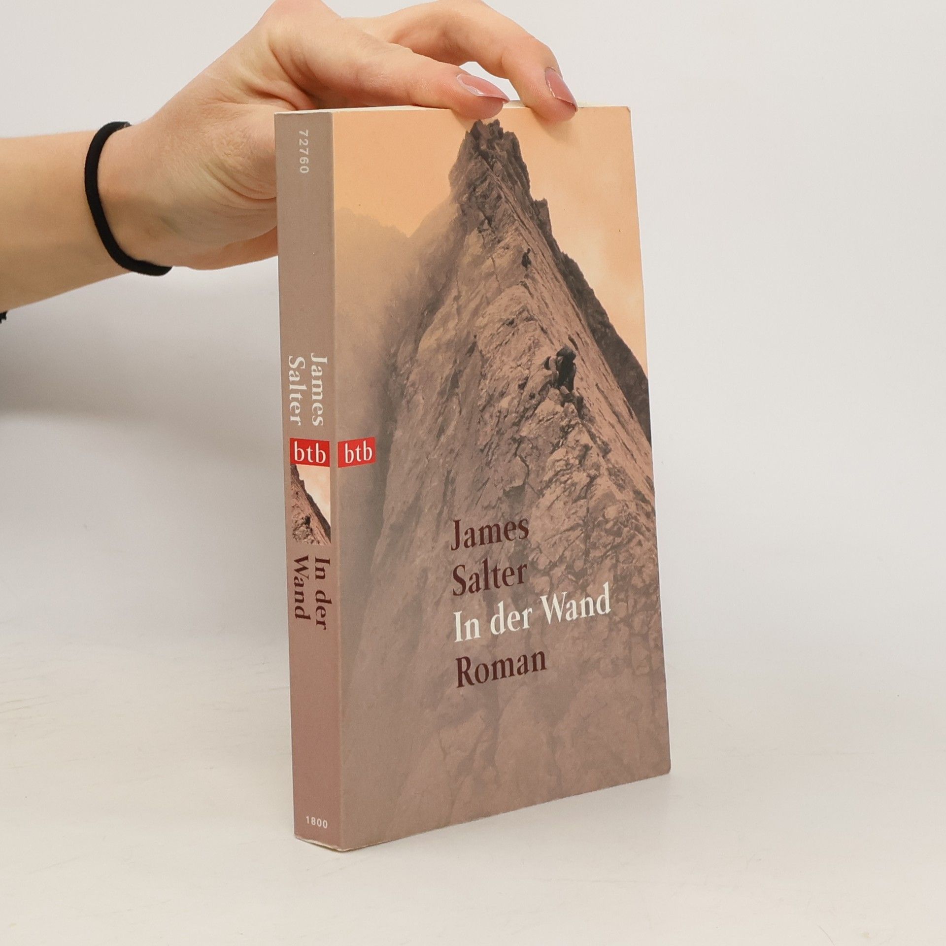 James Salter In der Wand