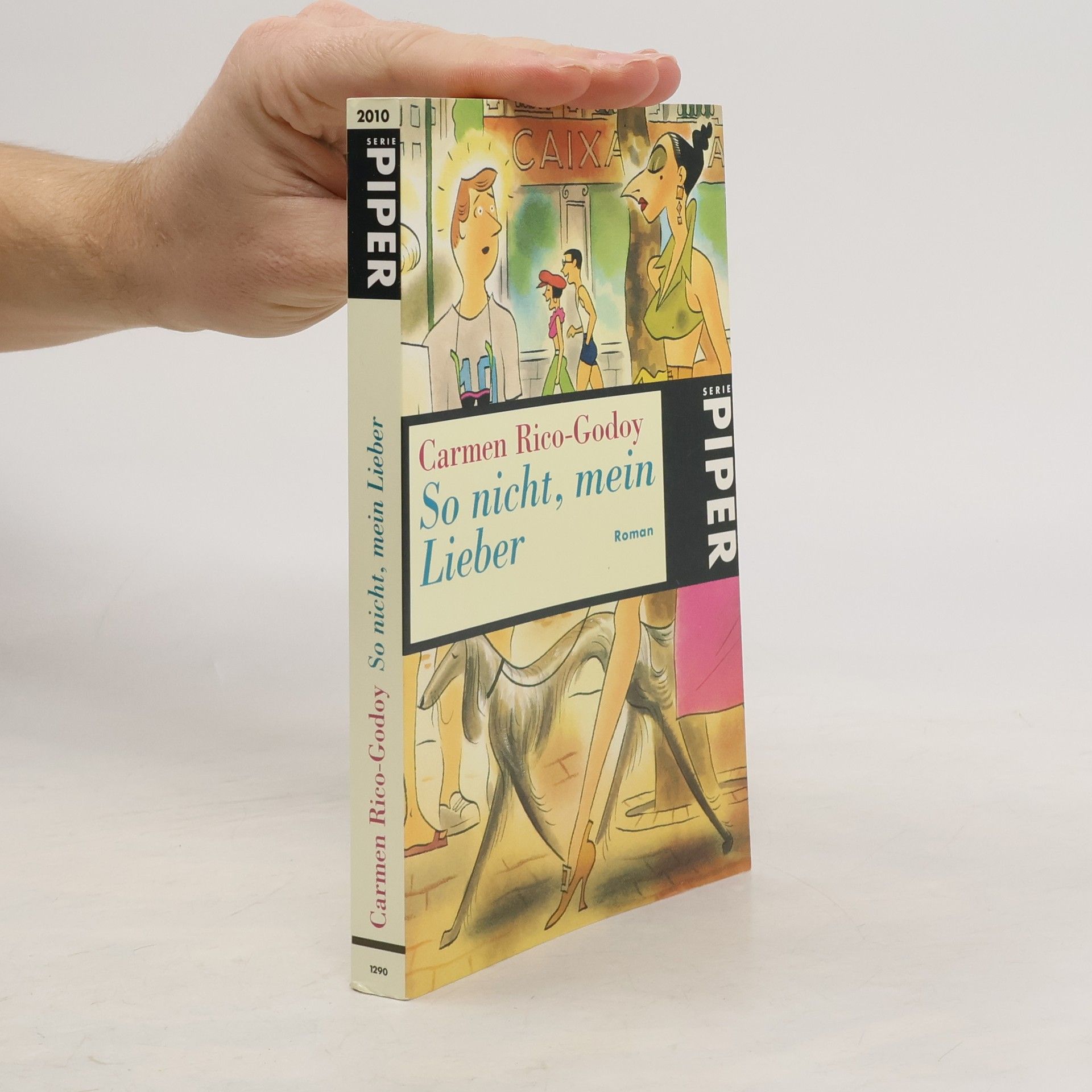 Carmen Rico Godoy So nicht, mein Lieber