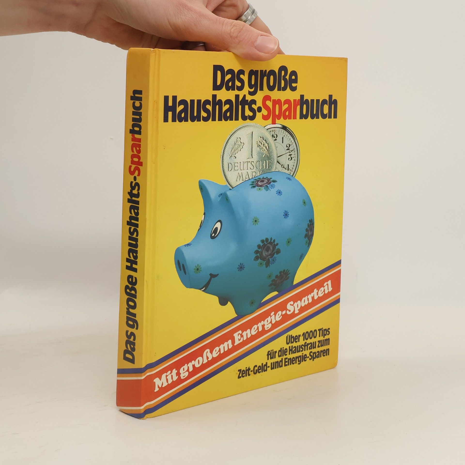 Sabine Weiden Das große Haushalts Sparbuch