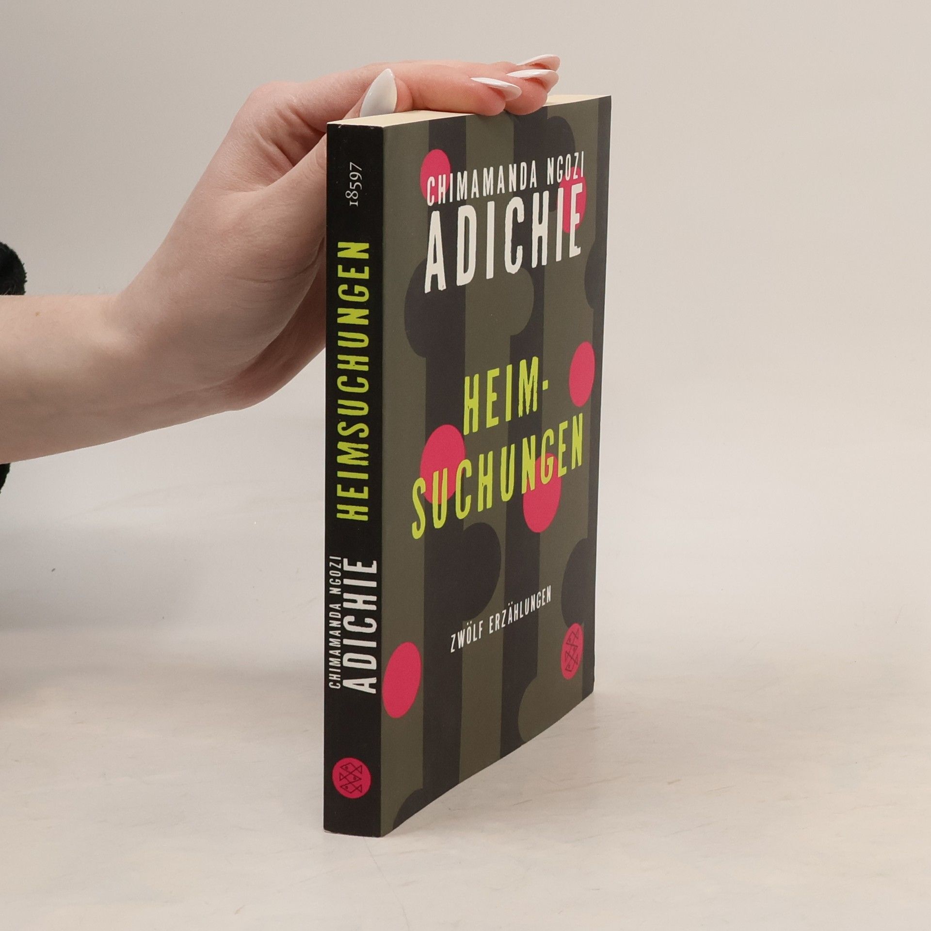 Chimamanda Ngozi Adichie Heimsuchungen