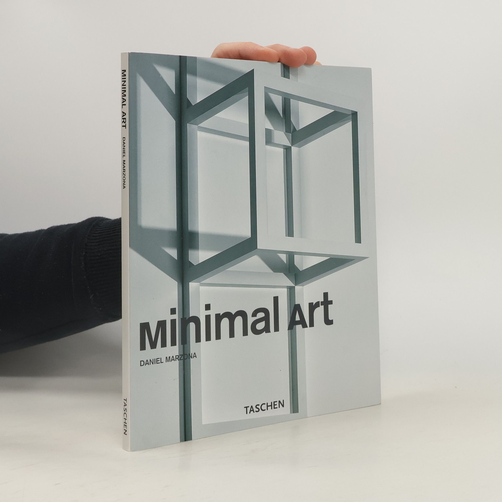 Daniel Marzona Minimal art