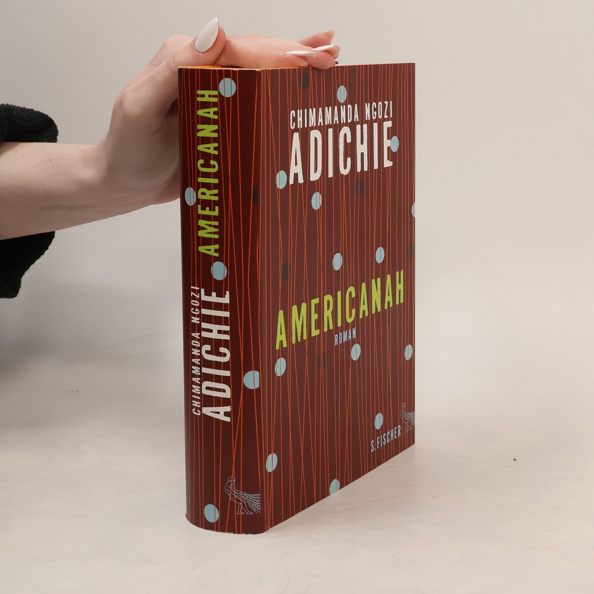 Chimamanda Ngozi Adichie Americanah