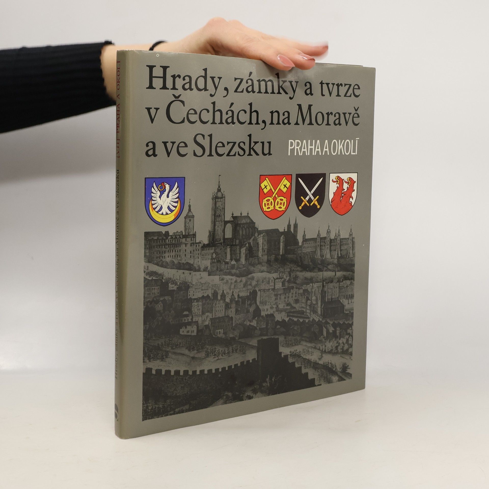 Autorenkollektiv Hrady, zámky a tvrze v Čechách, na Moravě a ve Slezsku VII. Praha a okolí