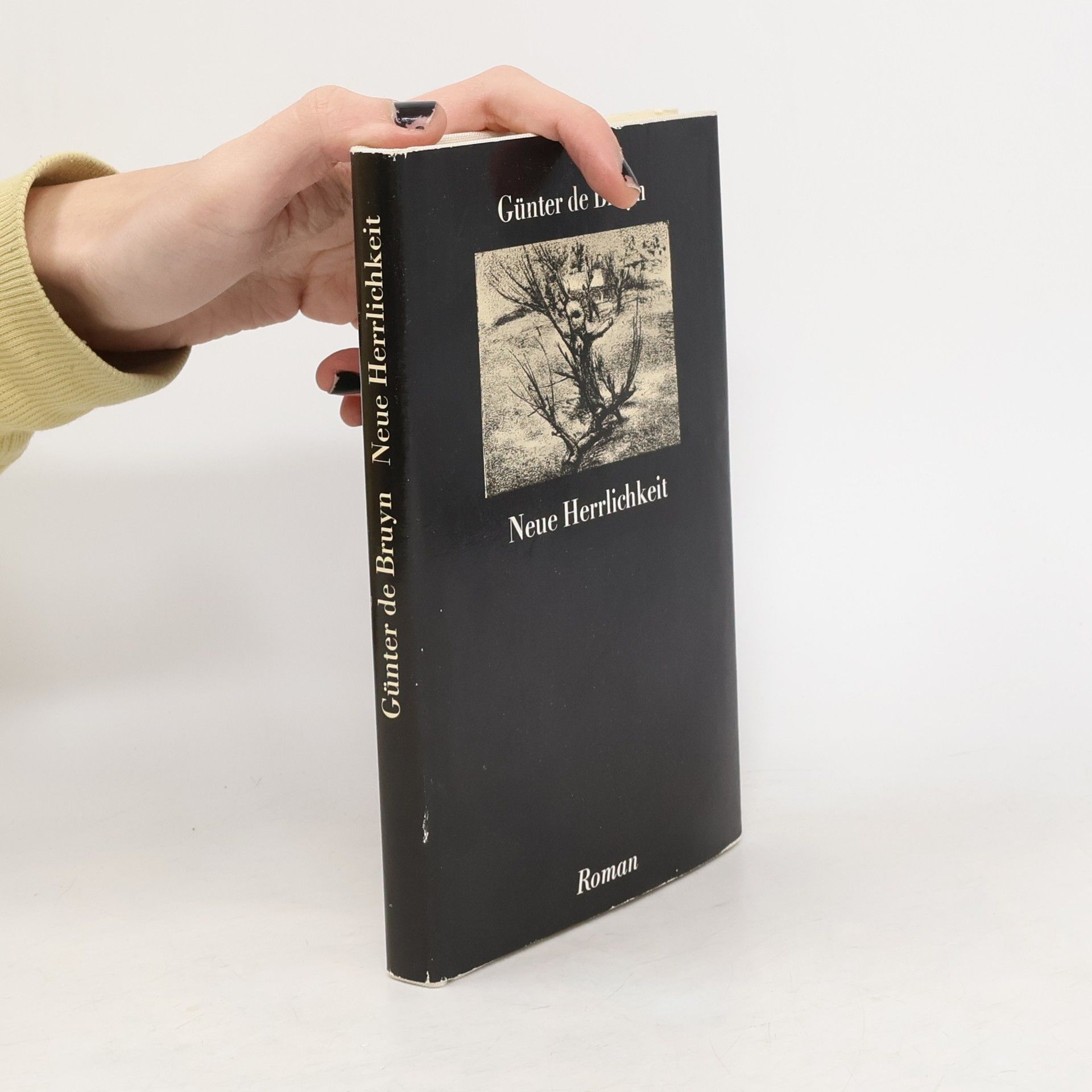 Günter de Bruyn Neue Herrlichkeit