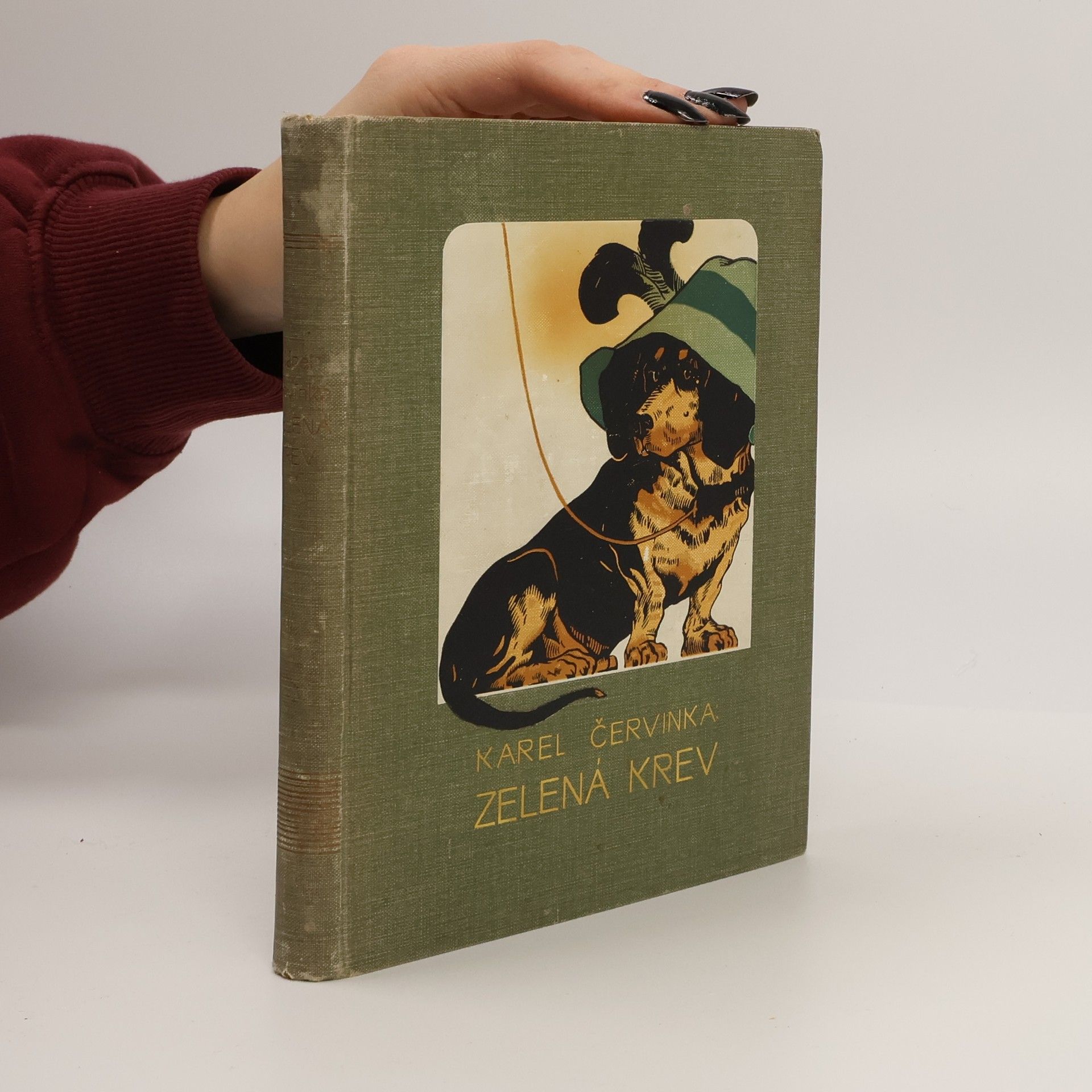 Karel Červinka Zelená krev II.