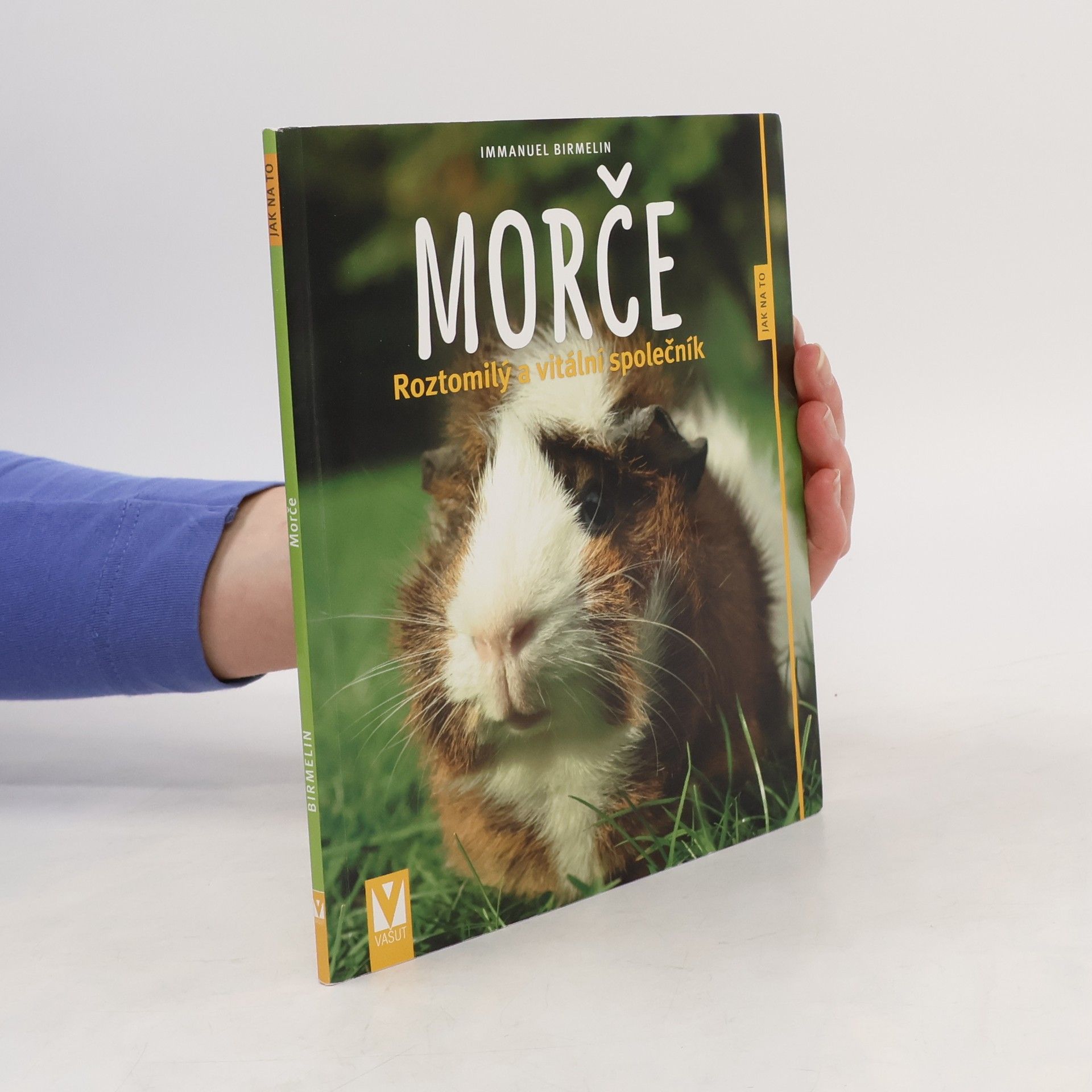 Immanuel Birmelin Morče. Roztomilý a vitální společník