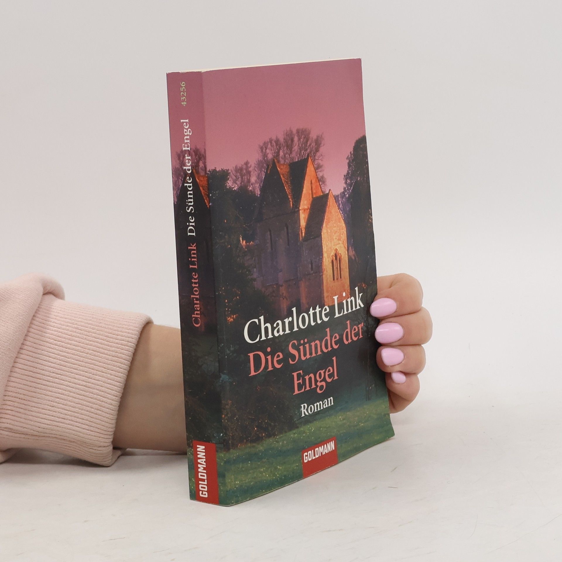 Charlotte Link Die Sünde der Engel