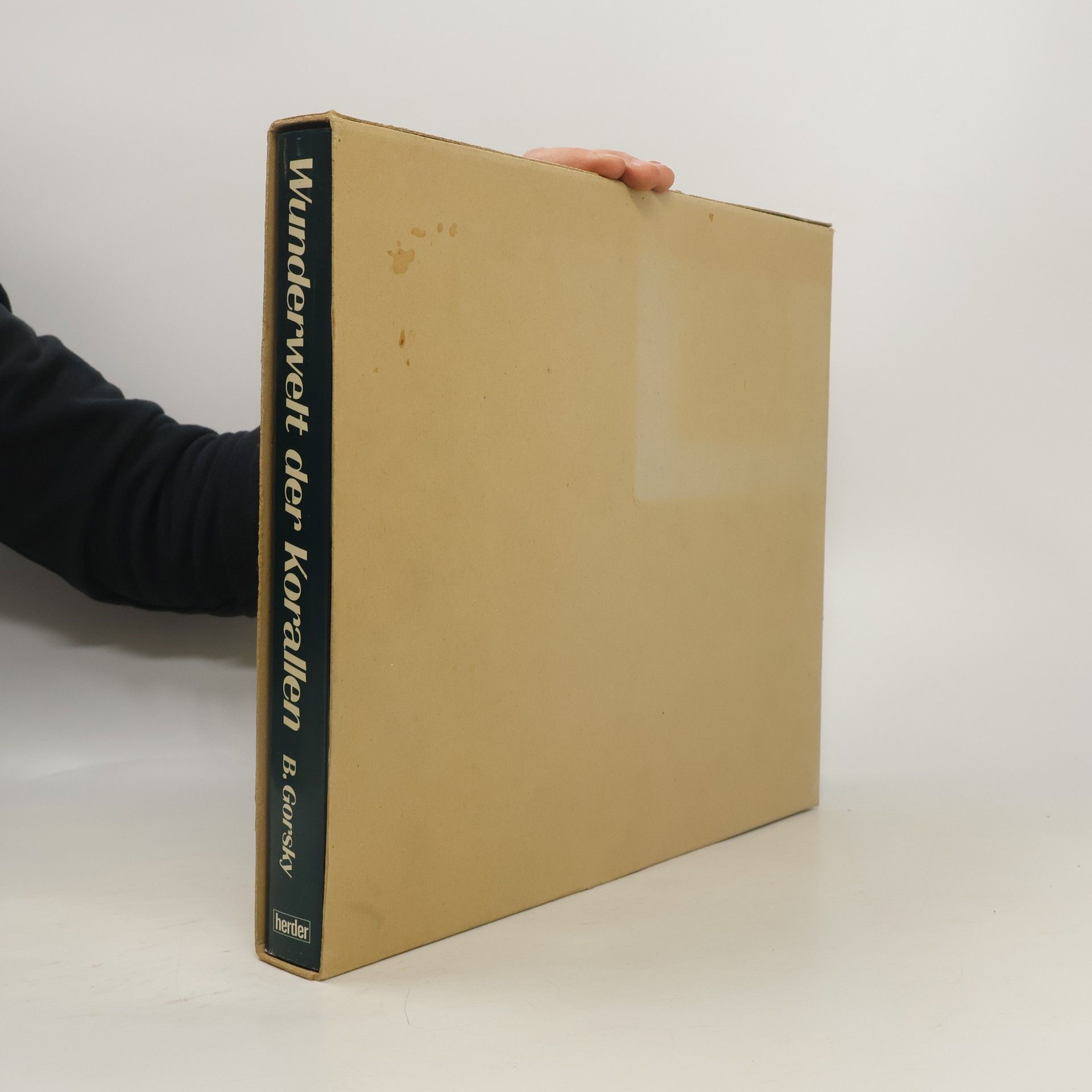 Wunderwelt der Korallen