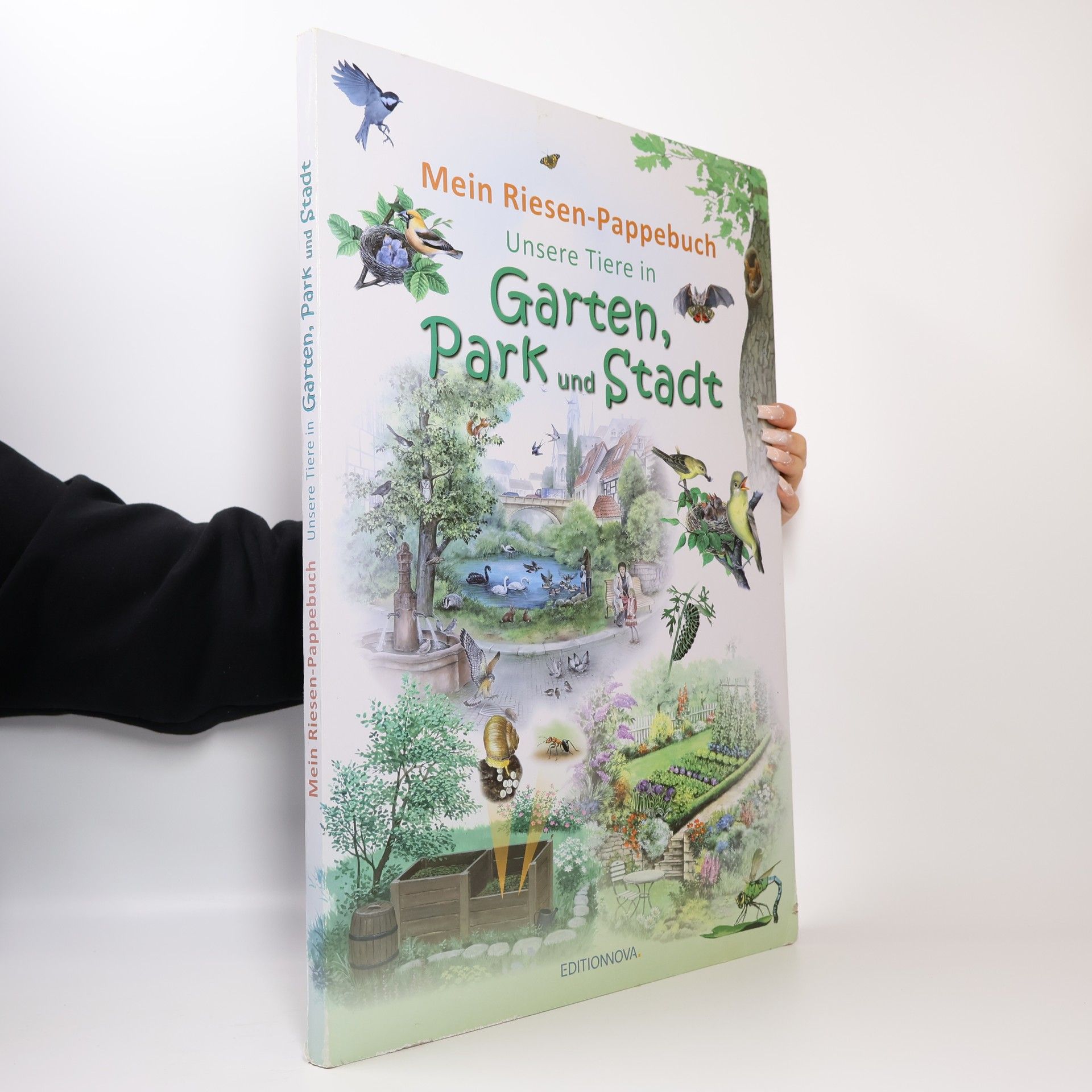 Kolektív autorov Mein Riesen-Pappebuch. Unsere Tiere in Garten, Park und Stadt