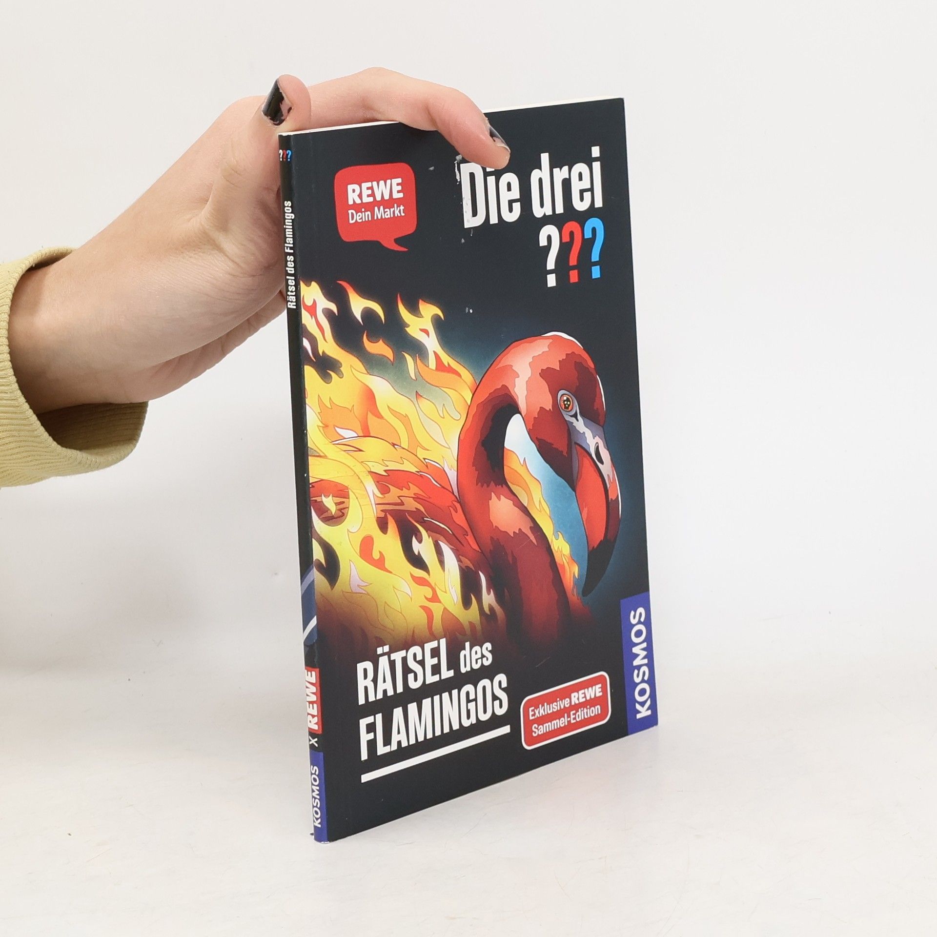 Andreas Ruch Die drei??? Rätsel des Flamingos