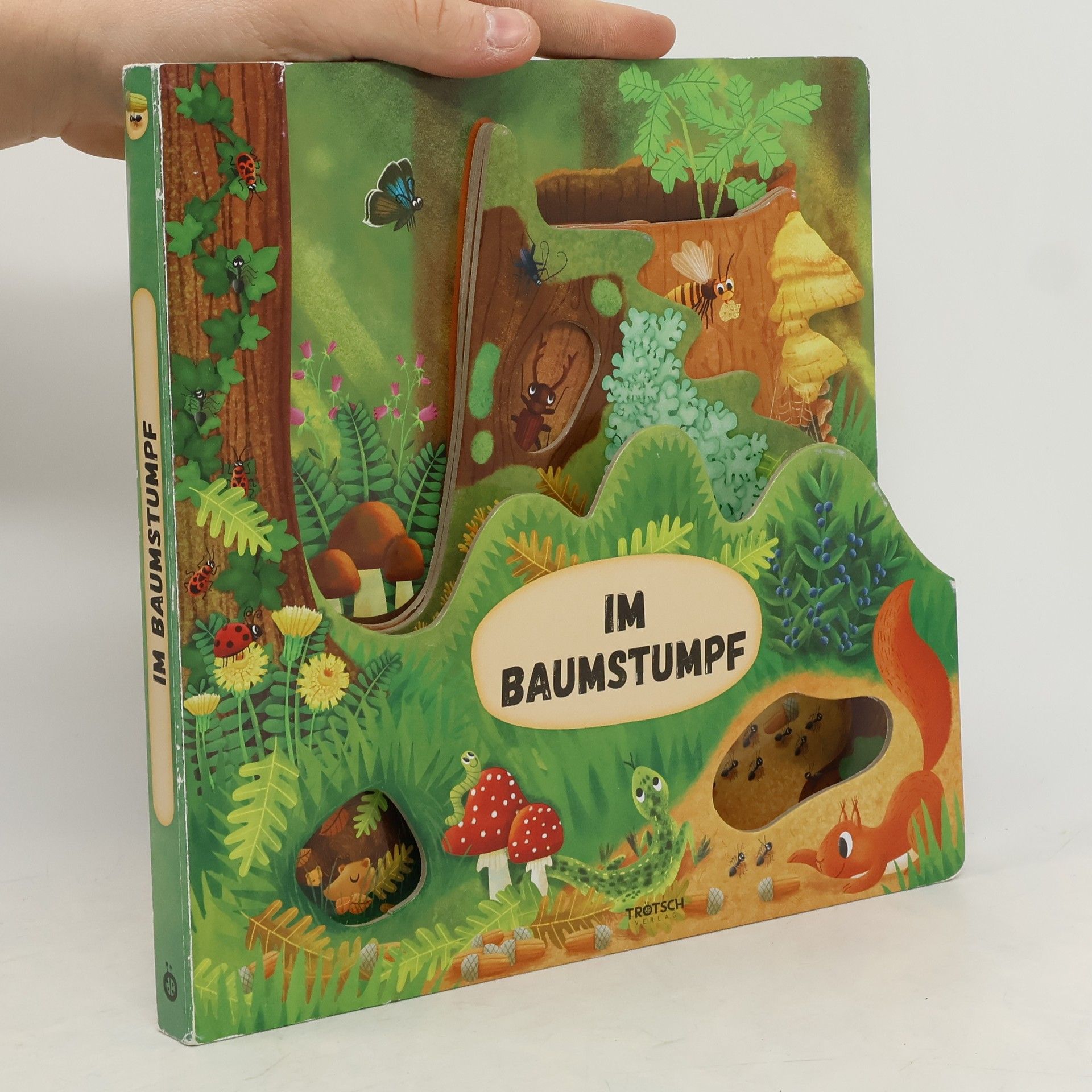 Trötsch Verlag Trötsch Fensterbuch Im Baumstumpf