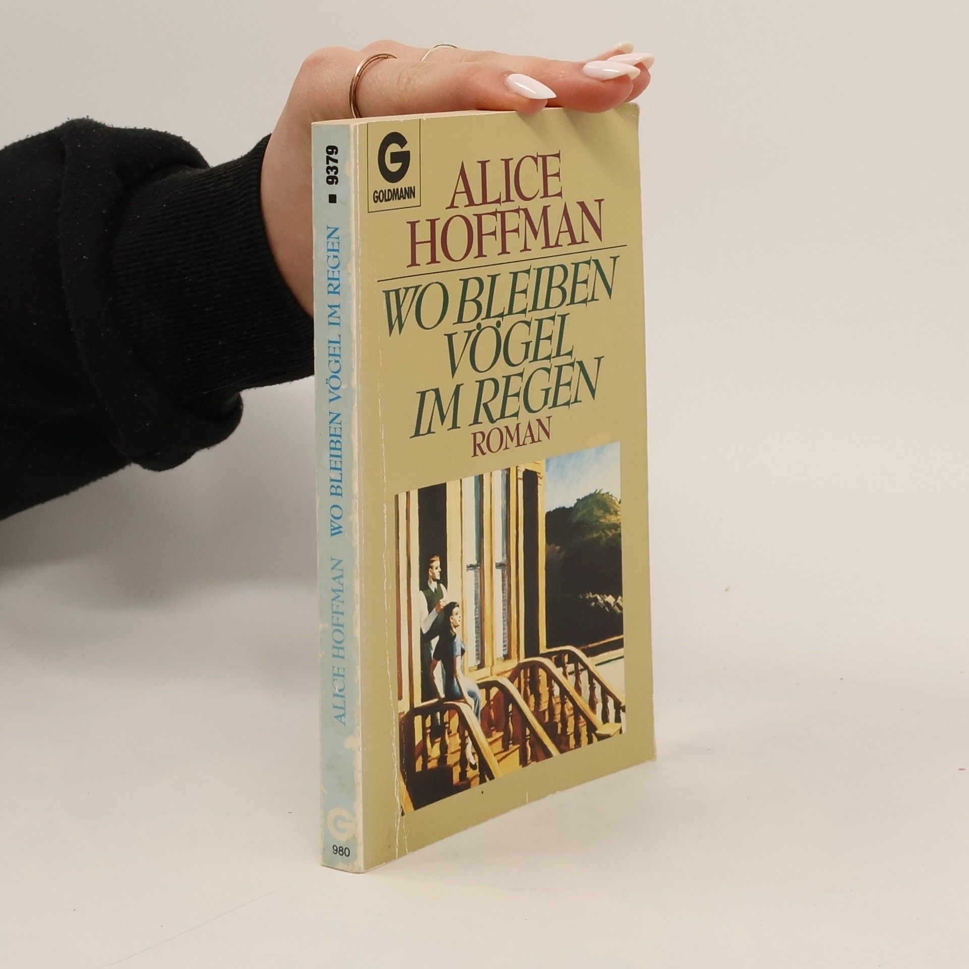 Alice Hoffmann Wo bleiben Vögel im Regen