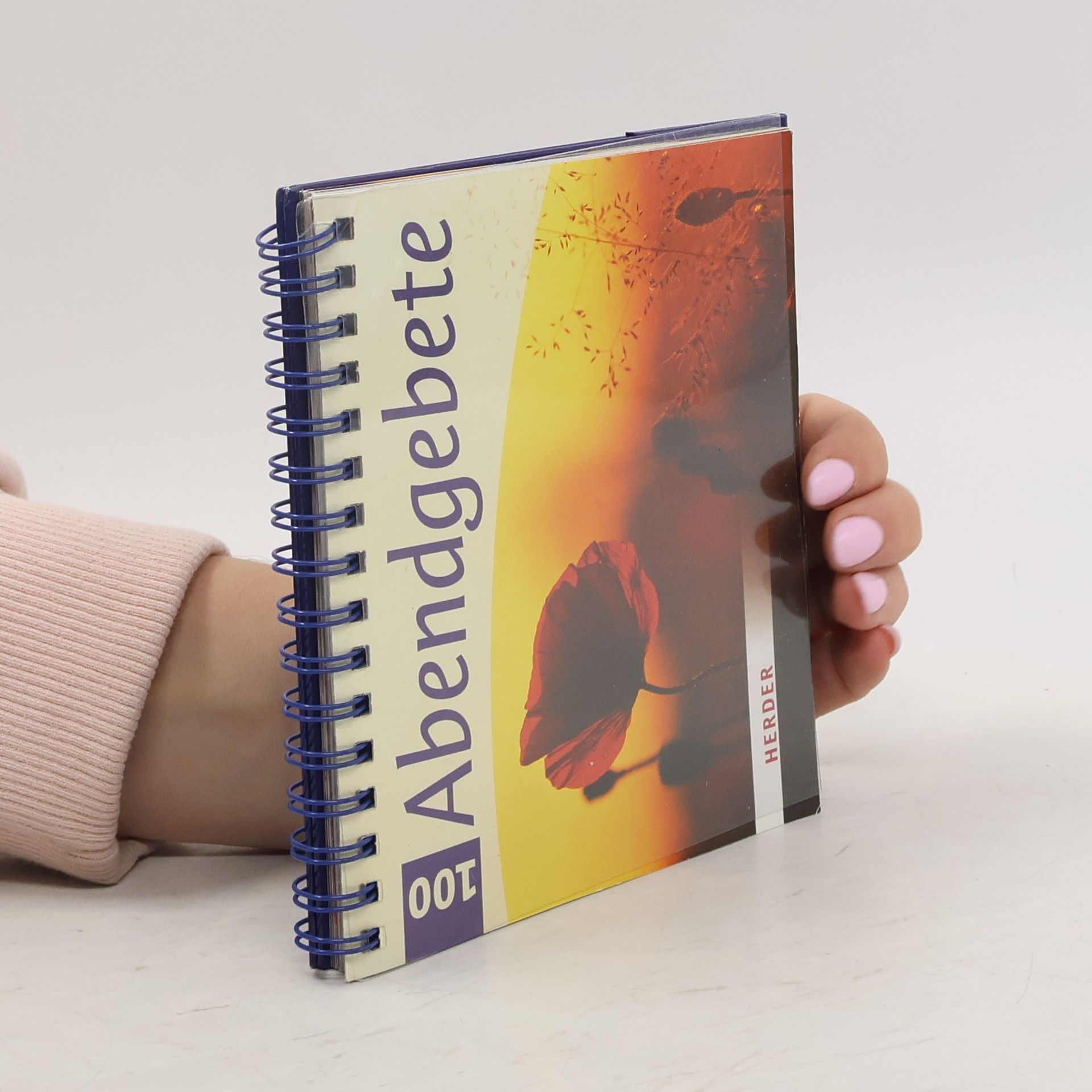 Ulrike Steinhoff 100 Abendgebete