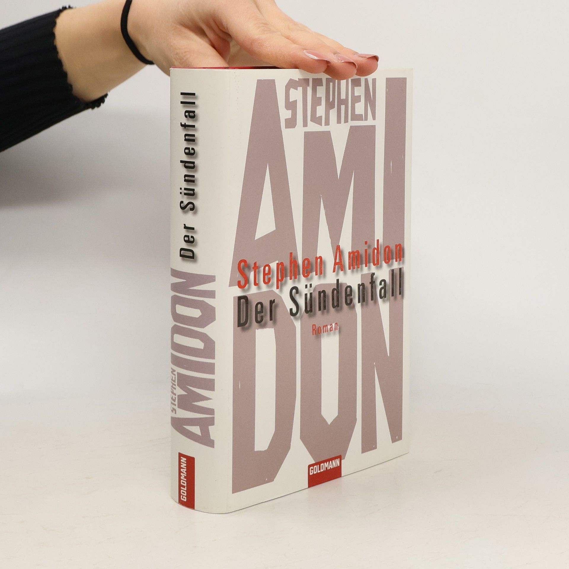 Stephen Amidon Der Sündenfall