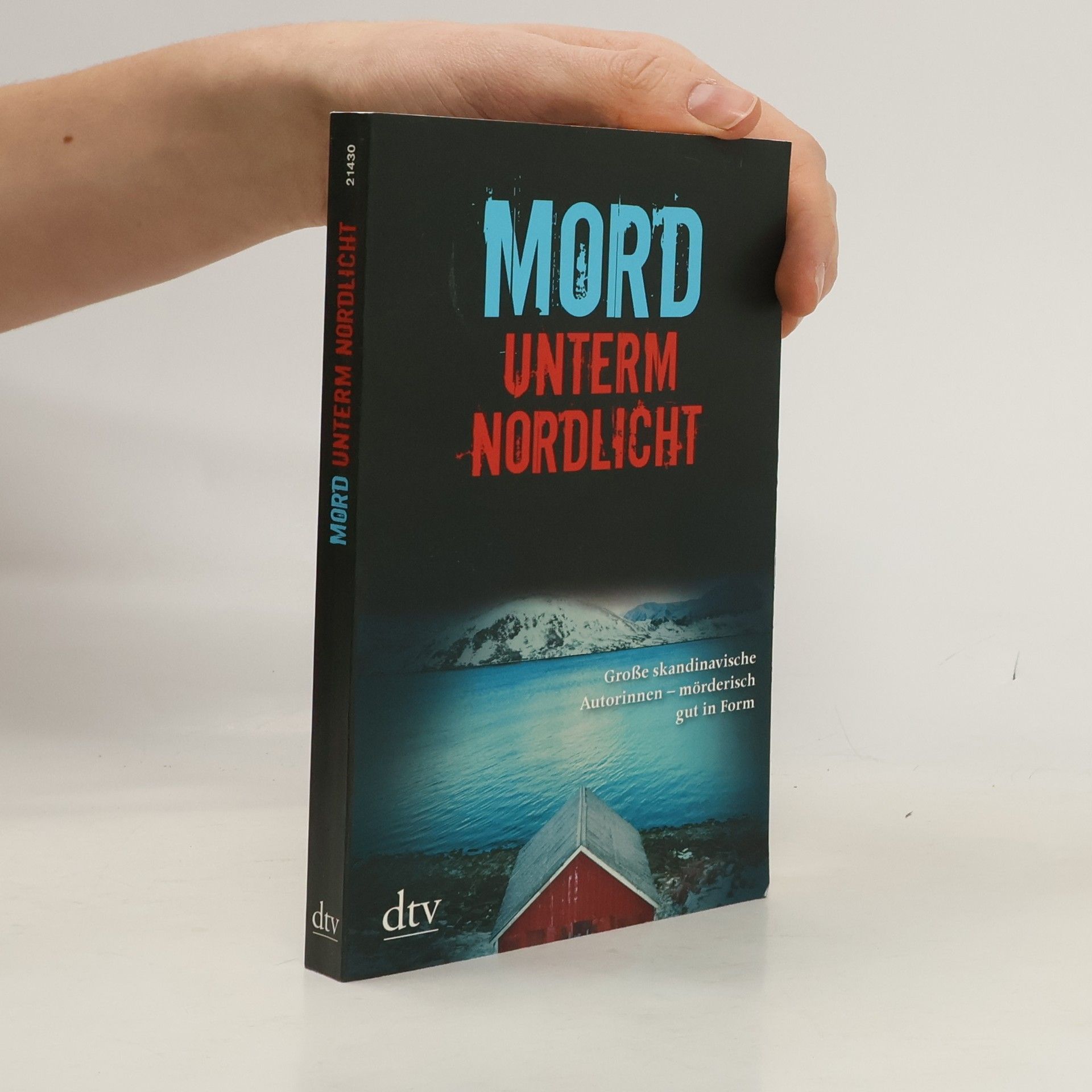 Gabriele Haefs Mord unterm Nordlicht