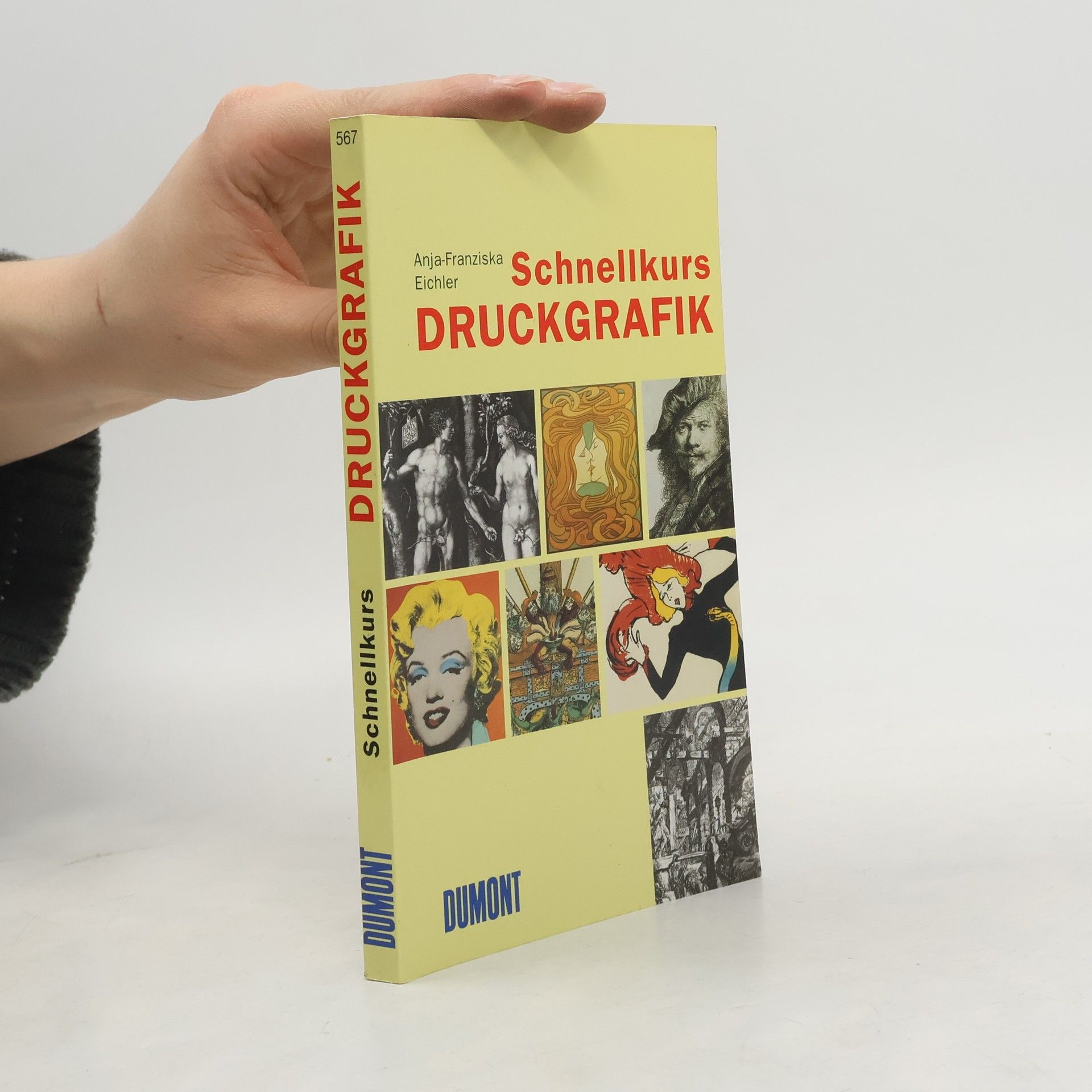 Anja Franziska Eichler Schnellkurs: Druckgrafik