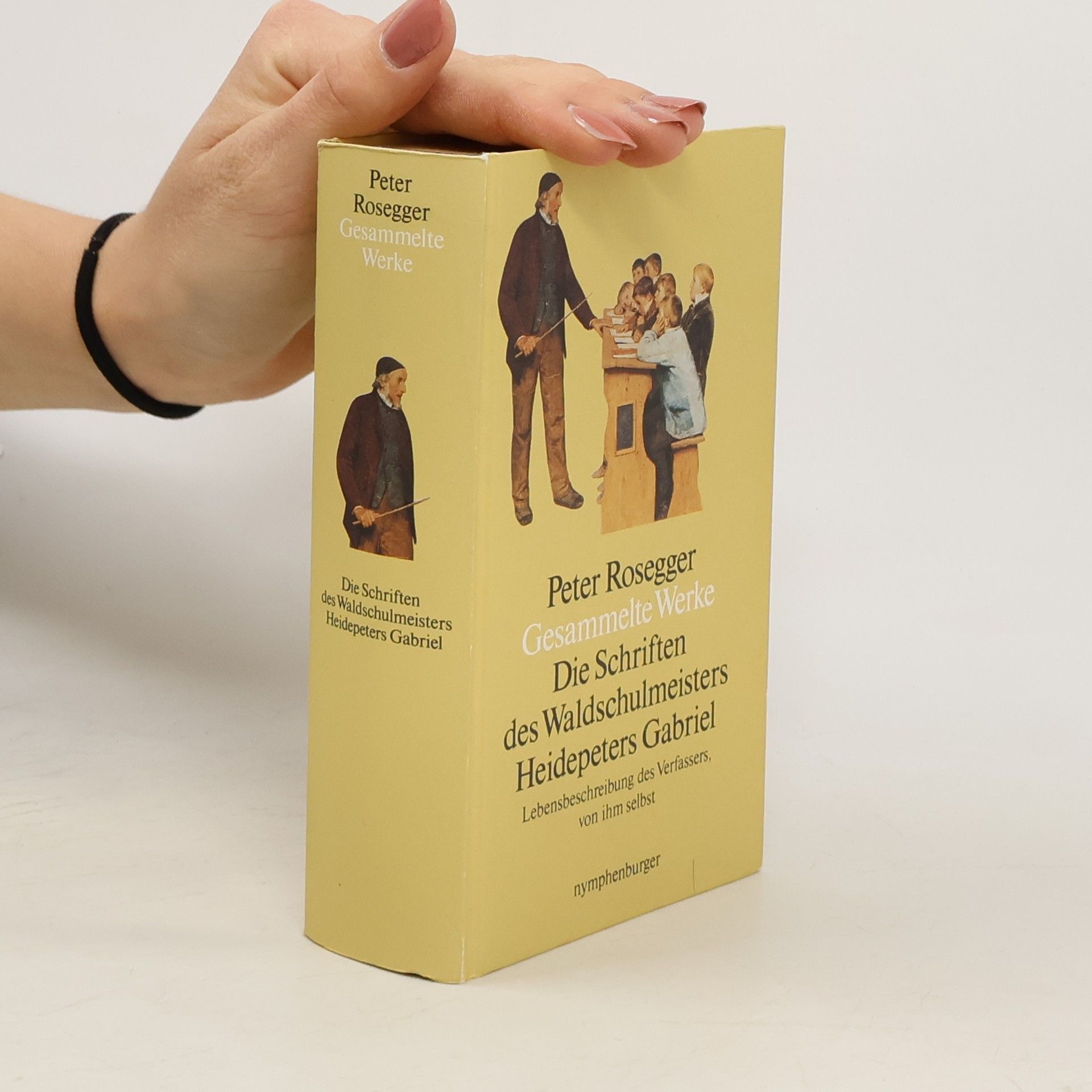 Peter Rosegger Gesammelte Werke 1. Die Schriften des Waldschulmeisters Heidepeters Gabriel