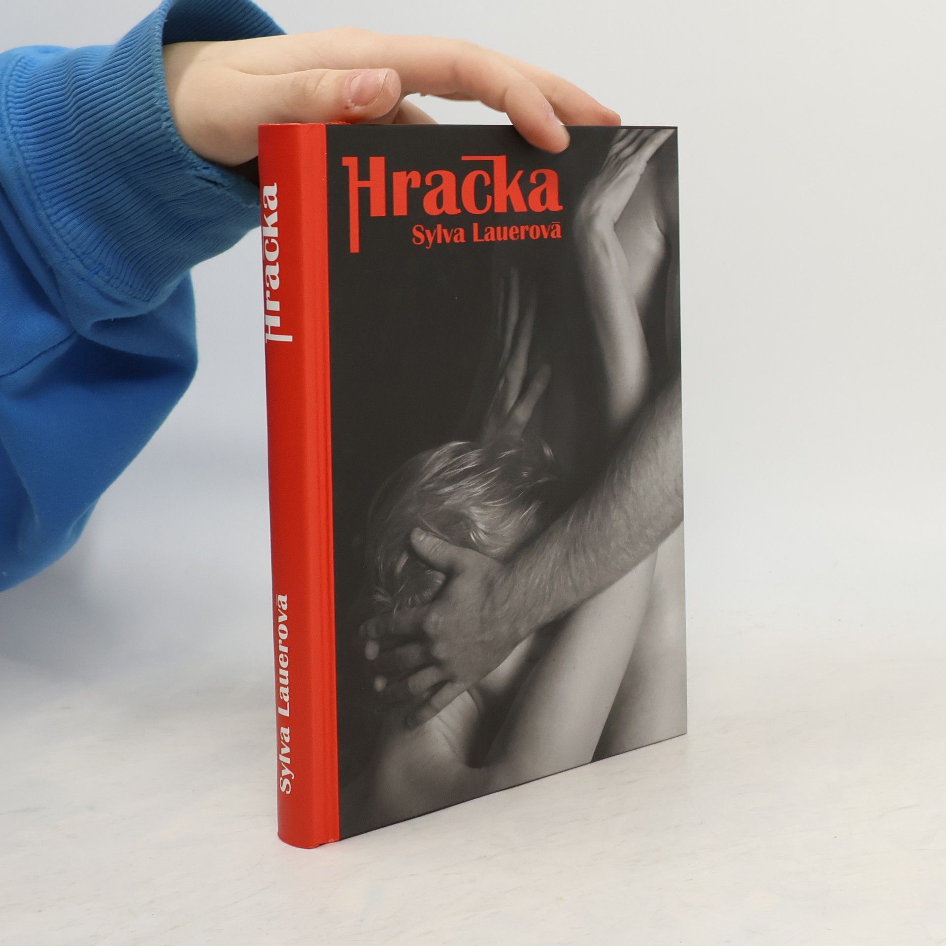 Sylva Lauerová Hračka